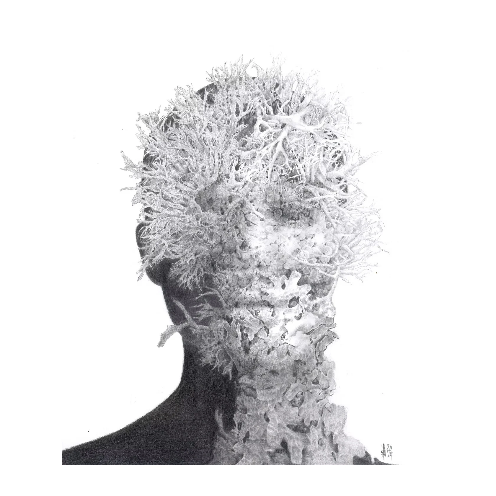 Civis terae sp.4 | Inês-Hermione Mulford