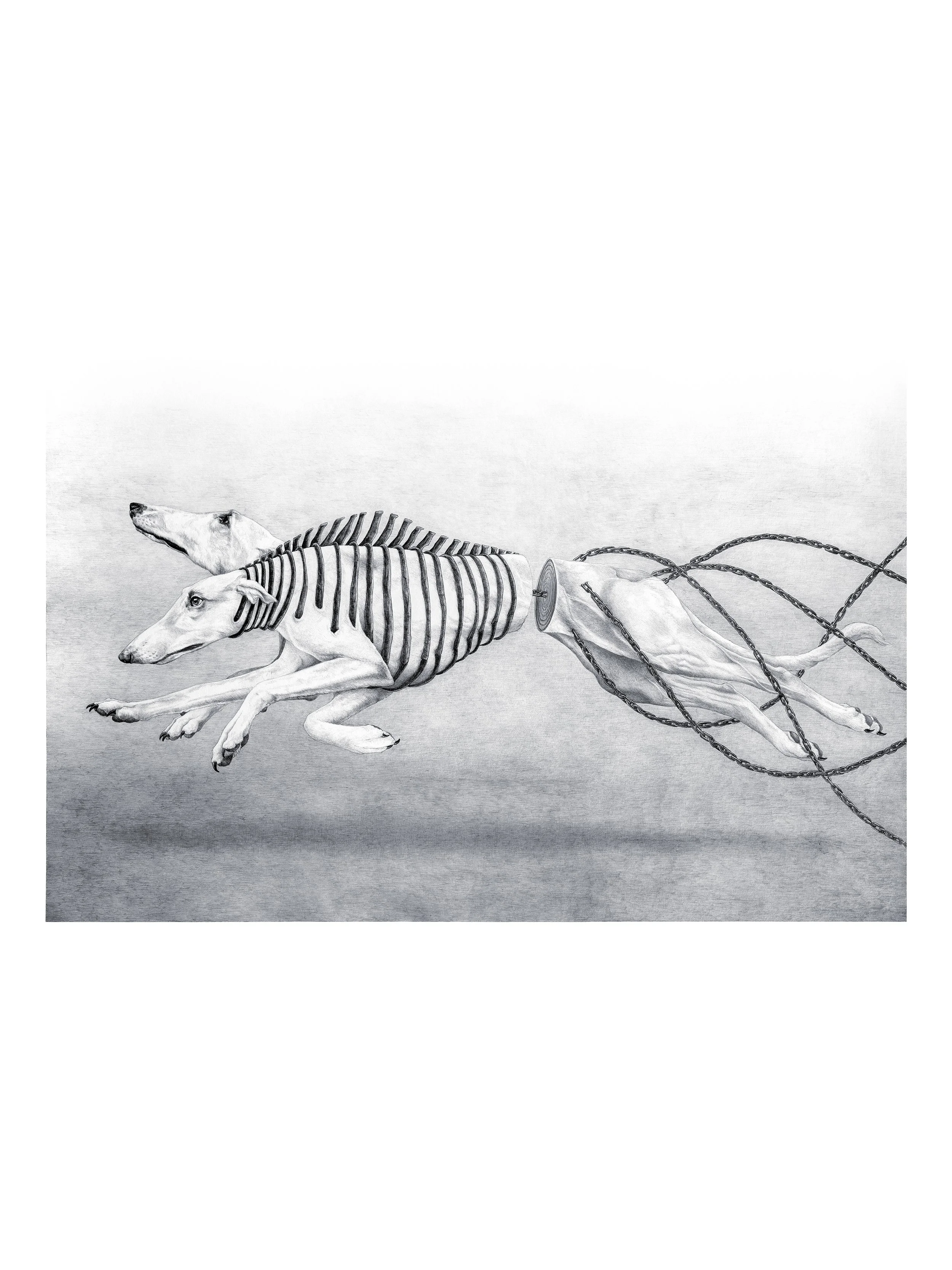 Adjusting to our pace | Sara Baun