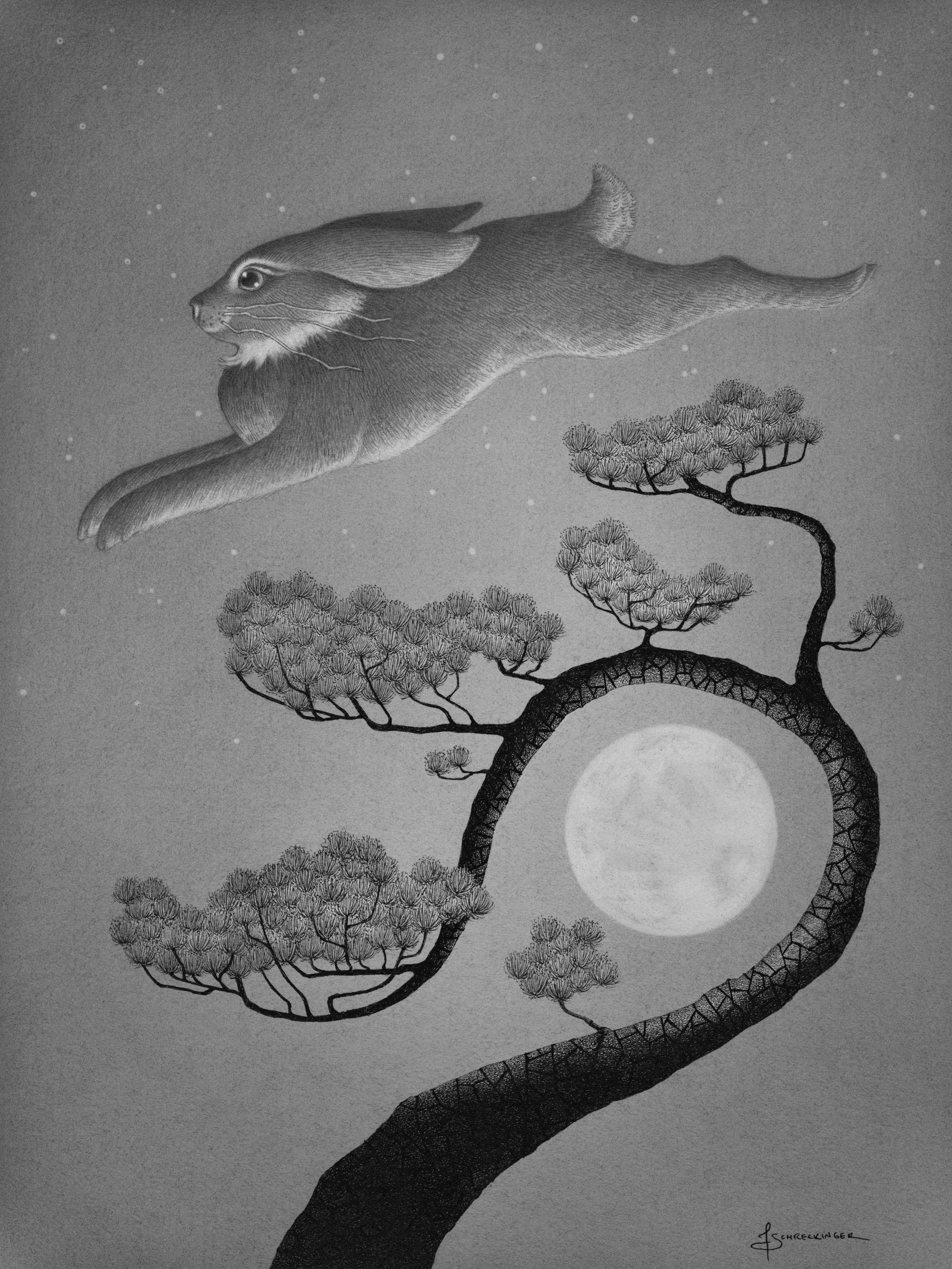 Over The Moon | Juliet Schreckinger