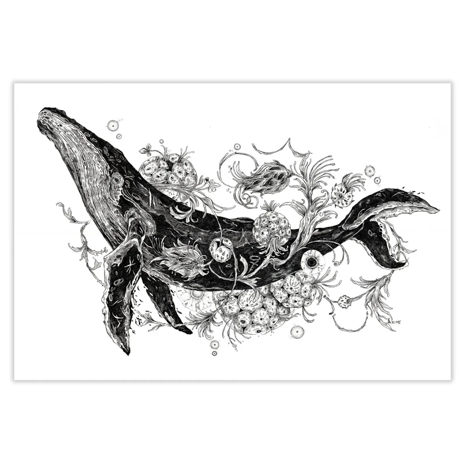 Untitled | Alexandra Kostecka