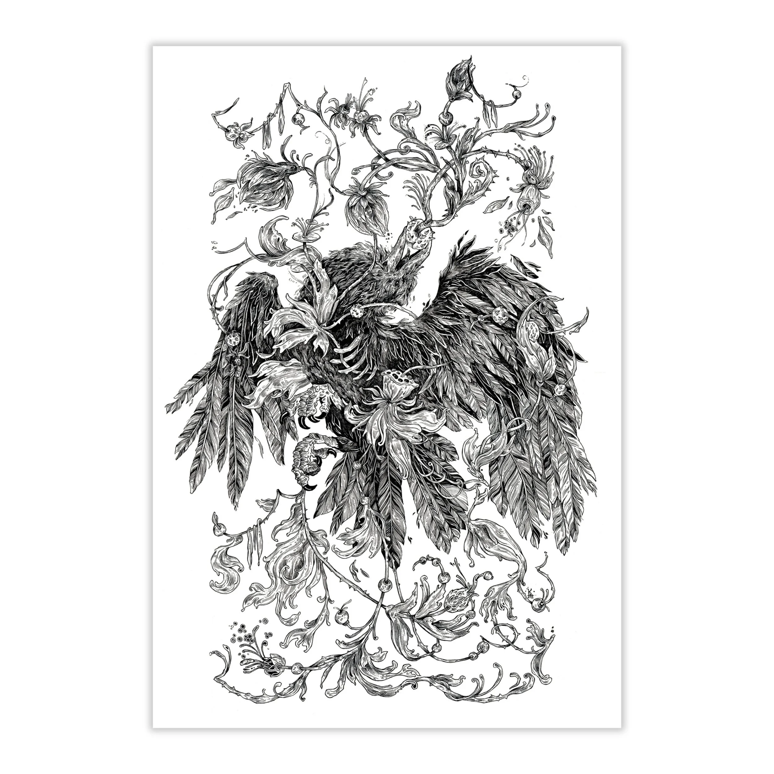 The Fallen Bird | Alexandra Kostecka