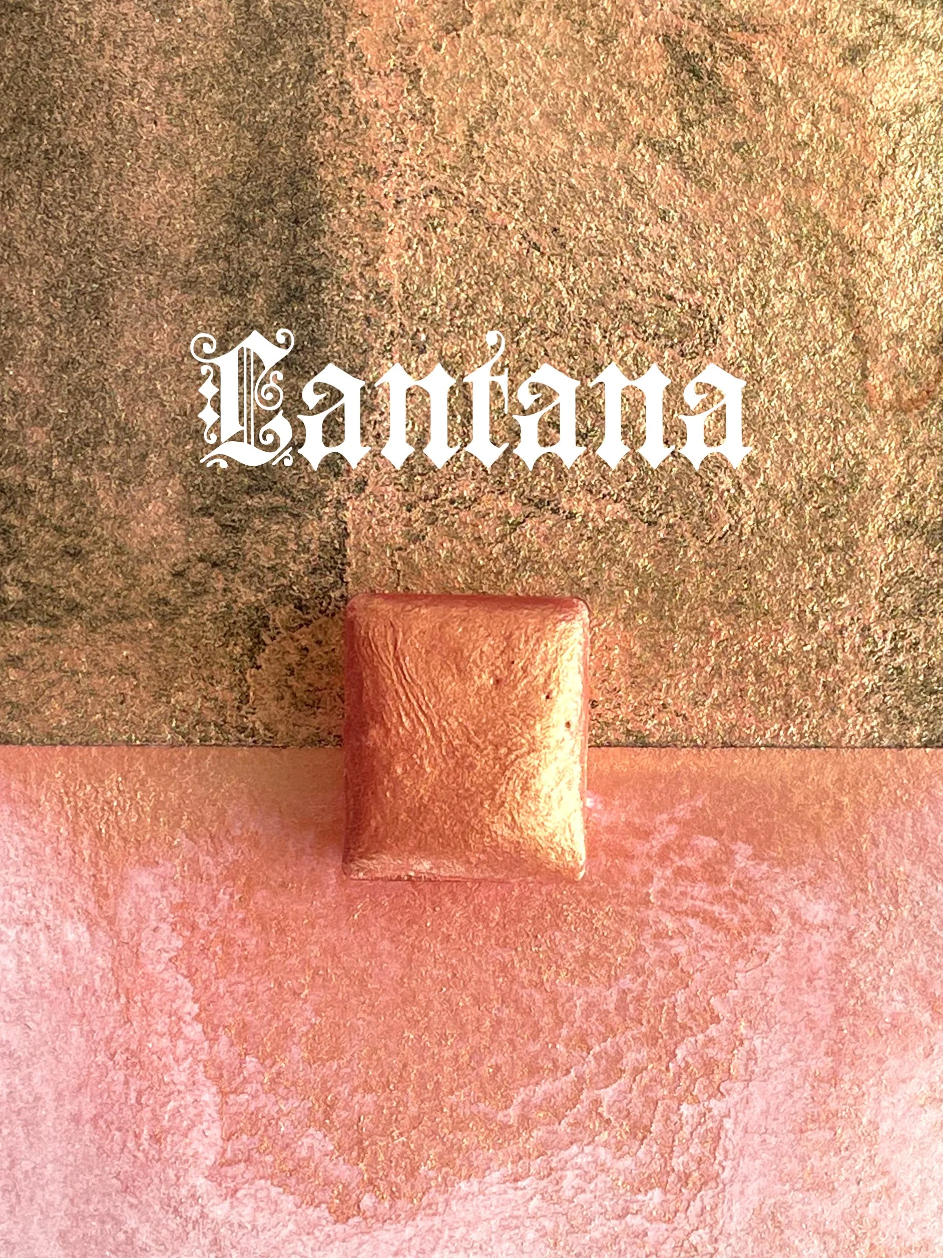 lantana_3 x 4.jpg