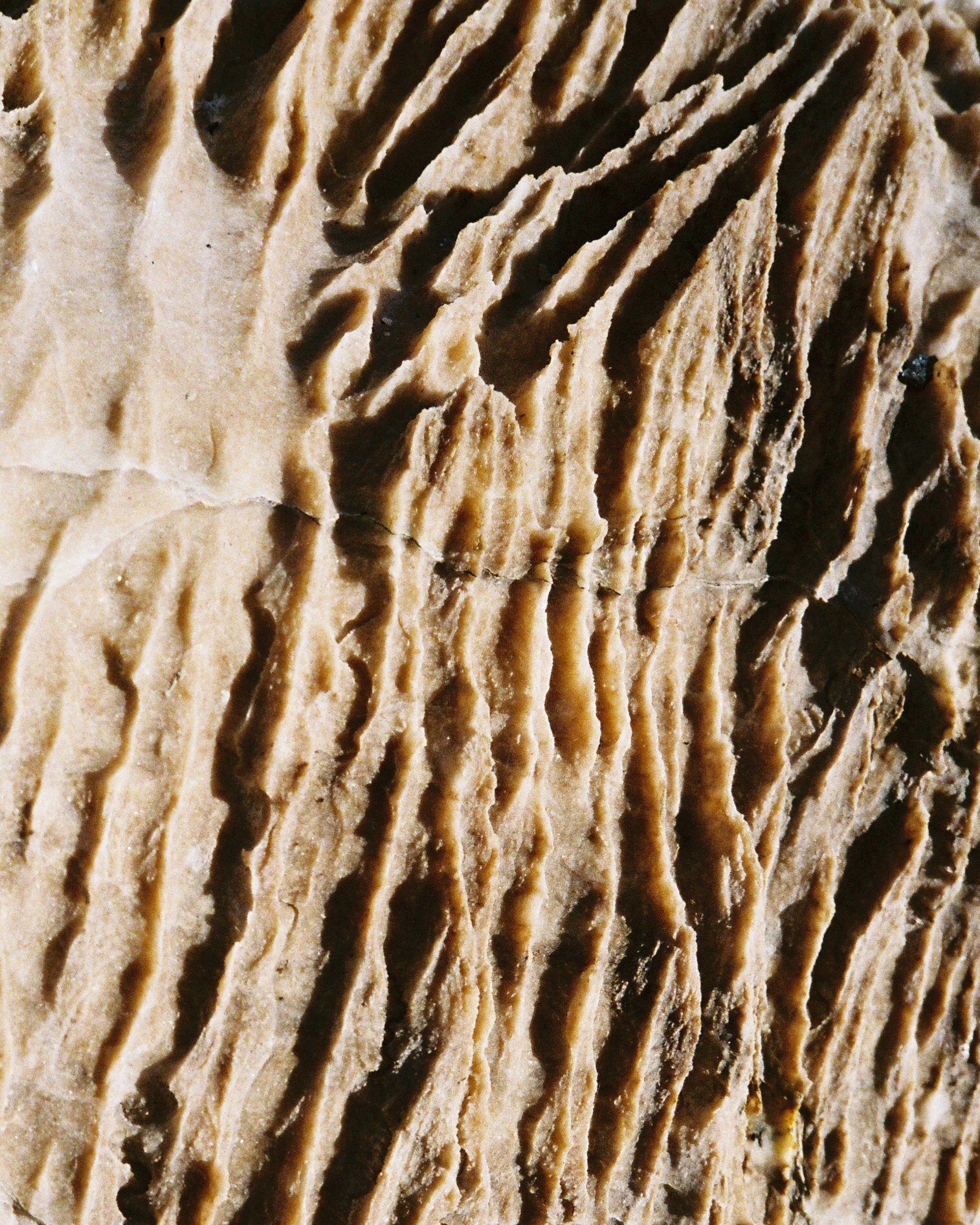 000039-2-2.jpg