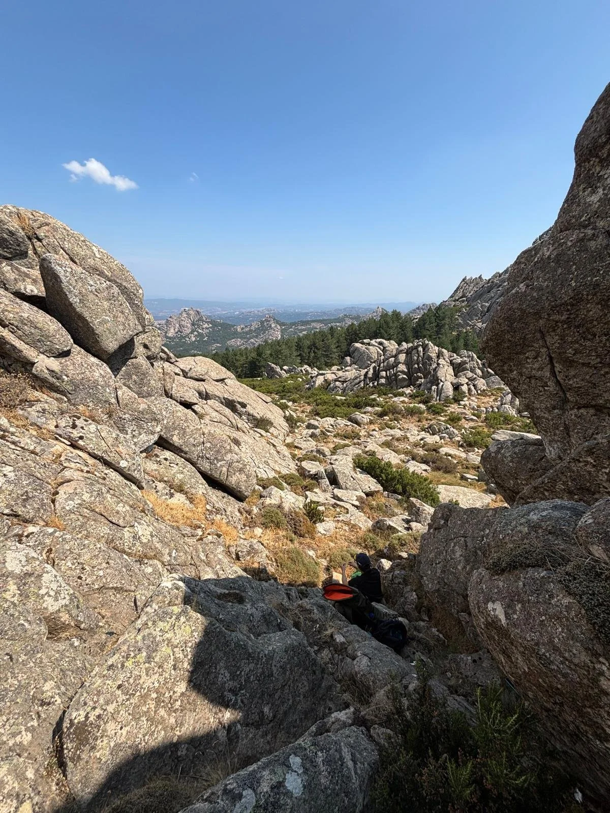 The view while hiking.jpeg