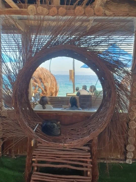 Dahabibi’s and a Mistake