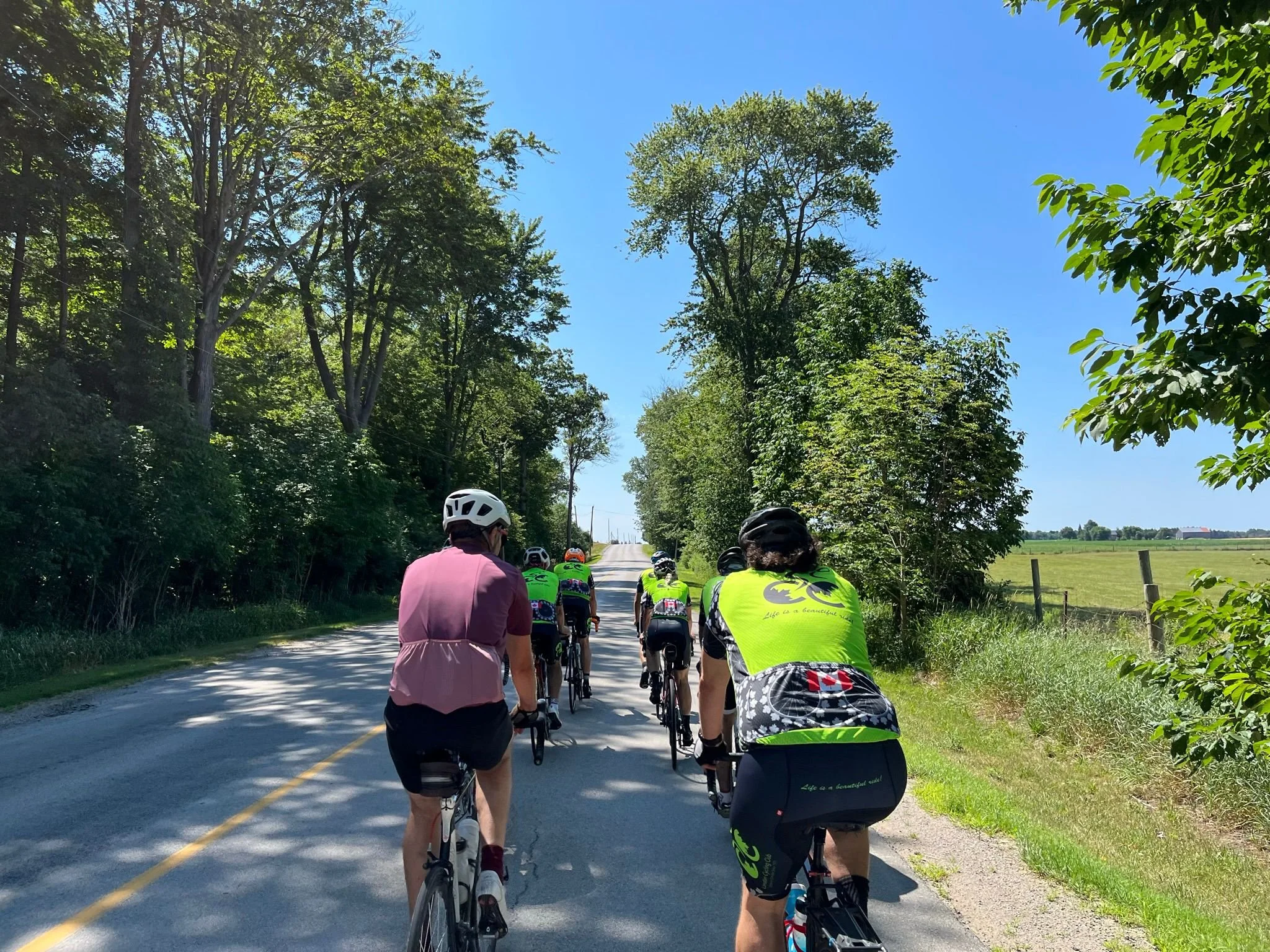 New Members Information Session (Online)