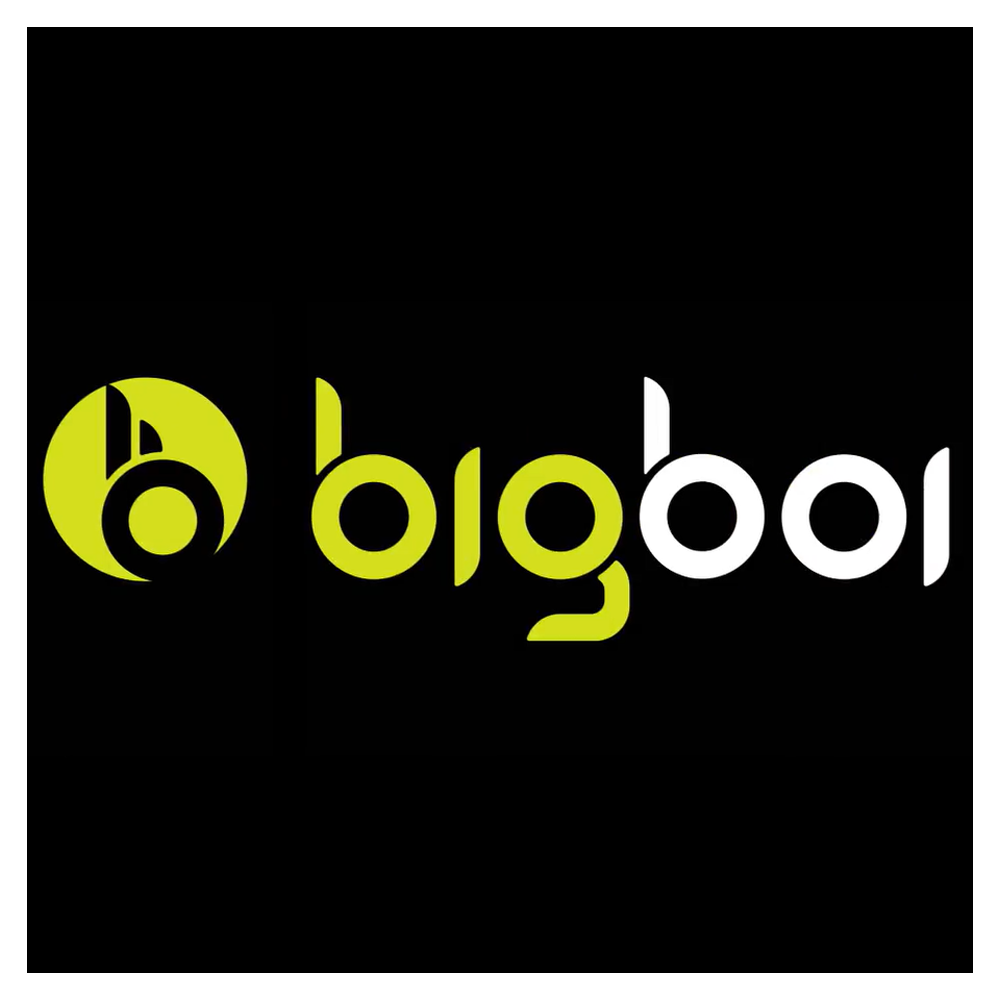 bigboi_logo.png