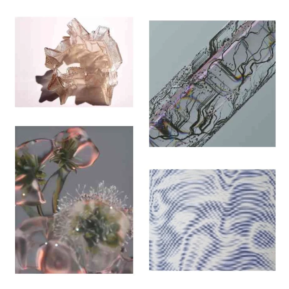 LIVING LAYERS: BIO SYNTHETHICS