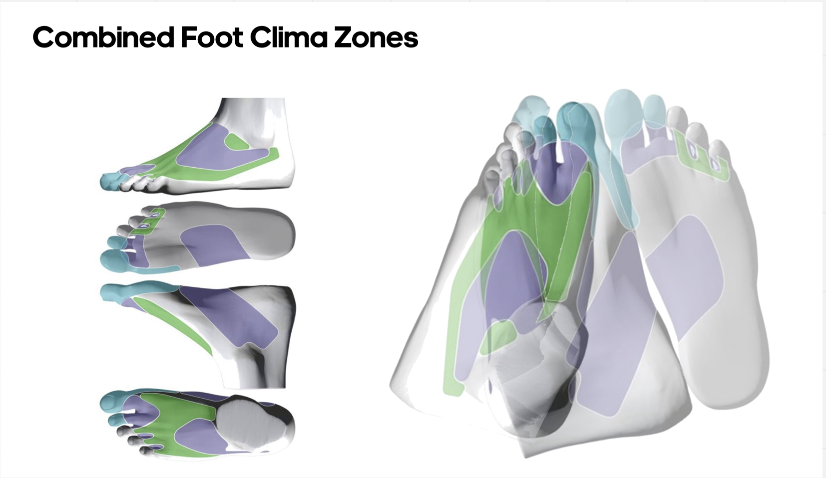 THERMOREGULATION MAPPING