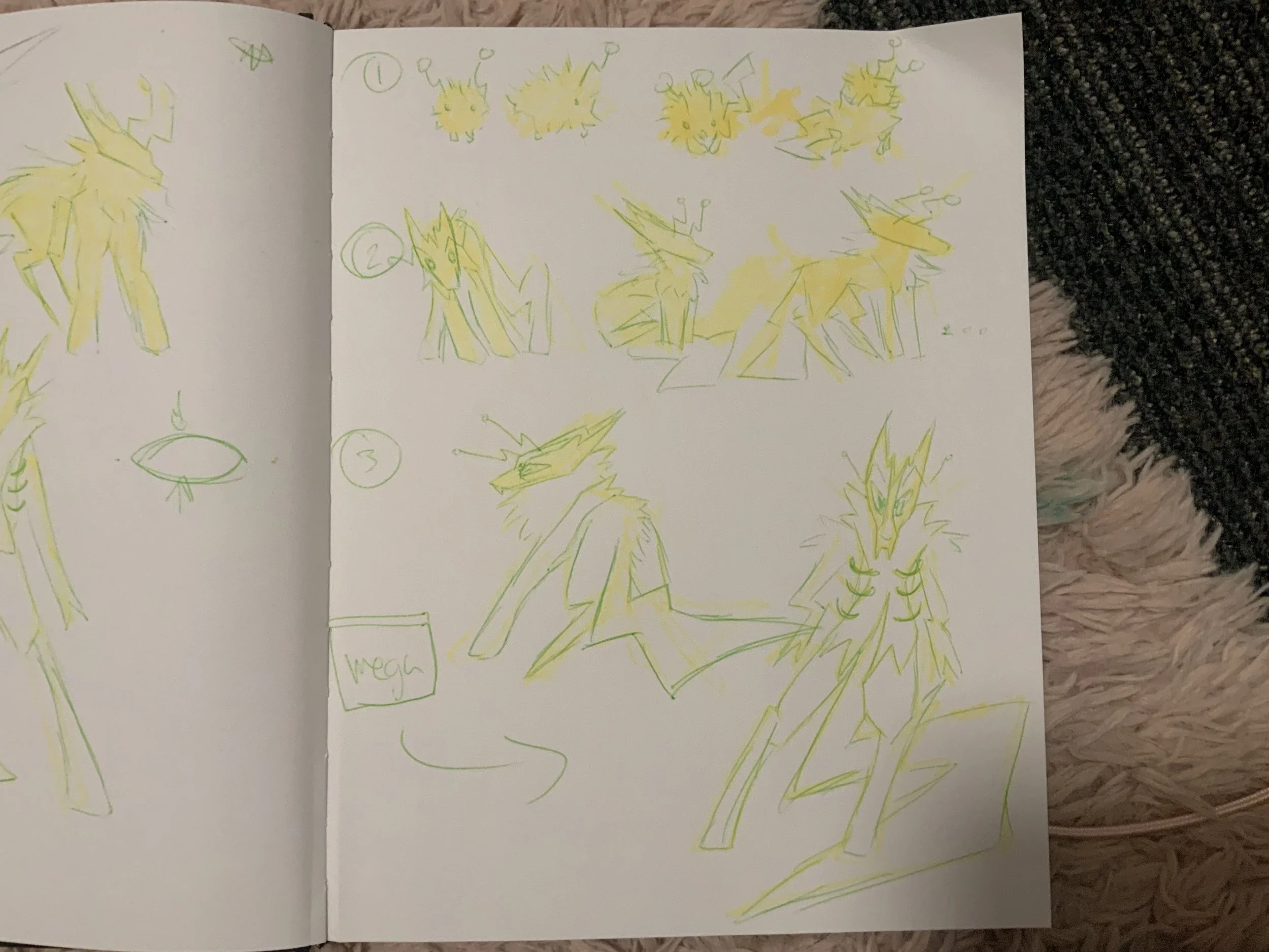 IMG_6038.jpeg