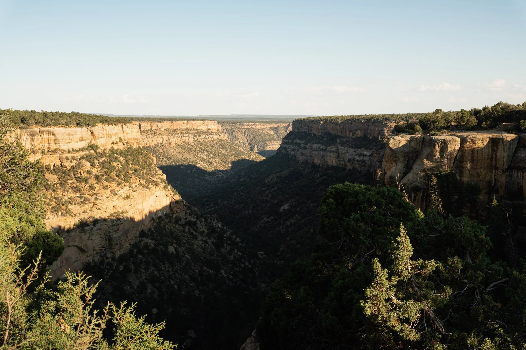 Summer Trip in Colorado - X-T5-1412.jpg