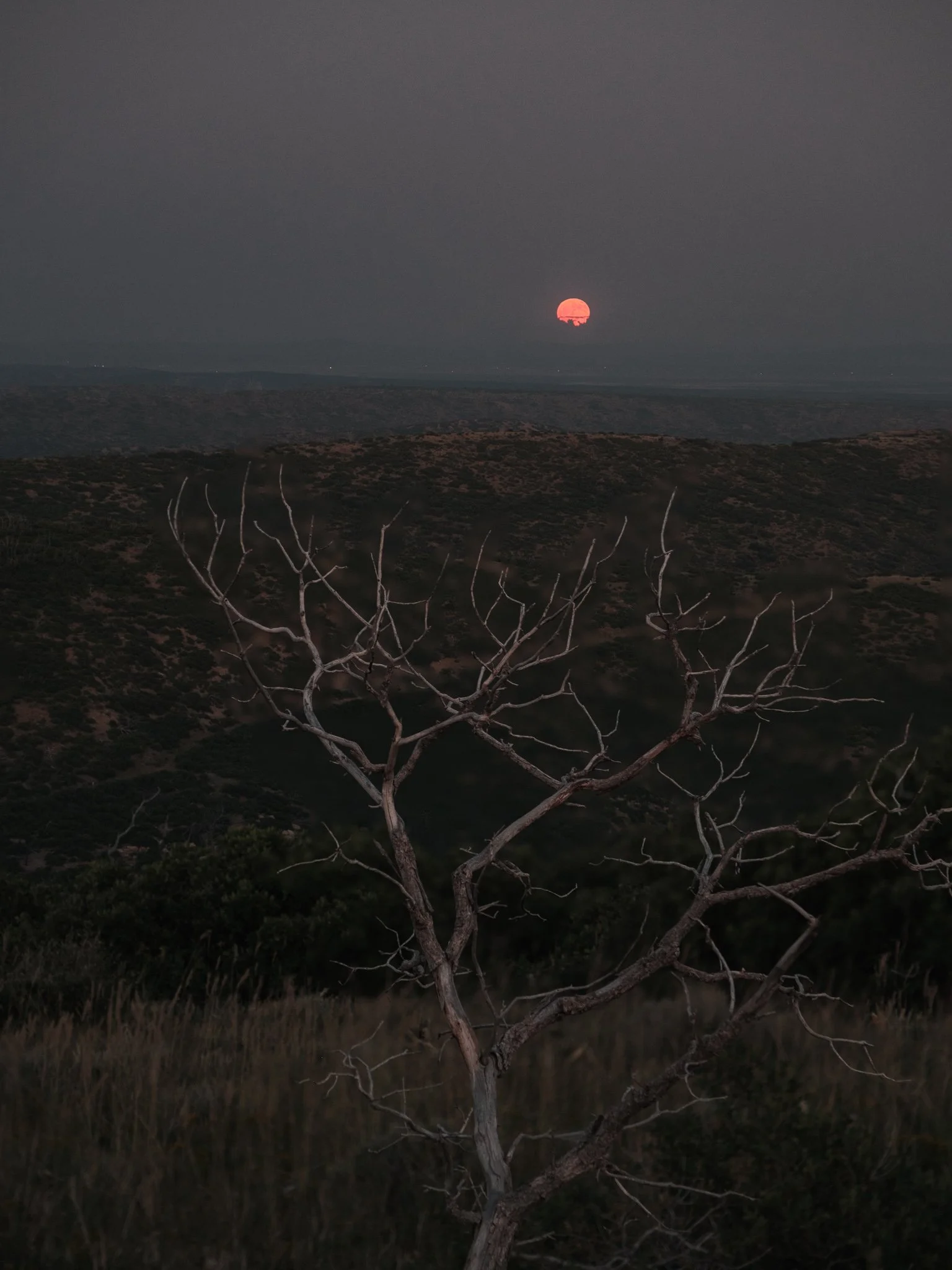 Summer Trip in Colorado - X-T5-1610-Focus Stack.jpg