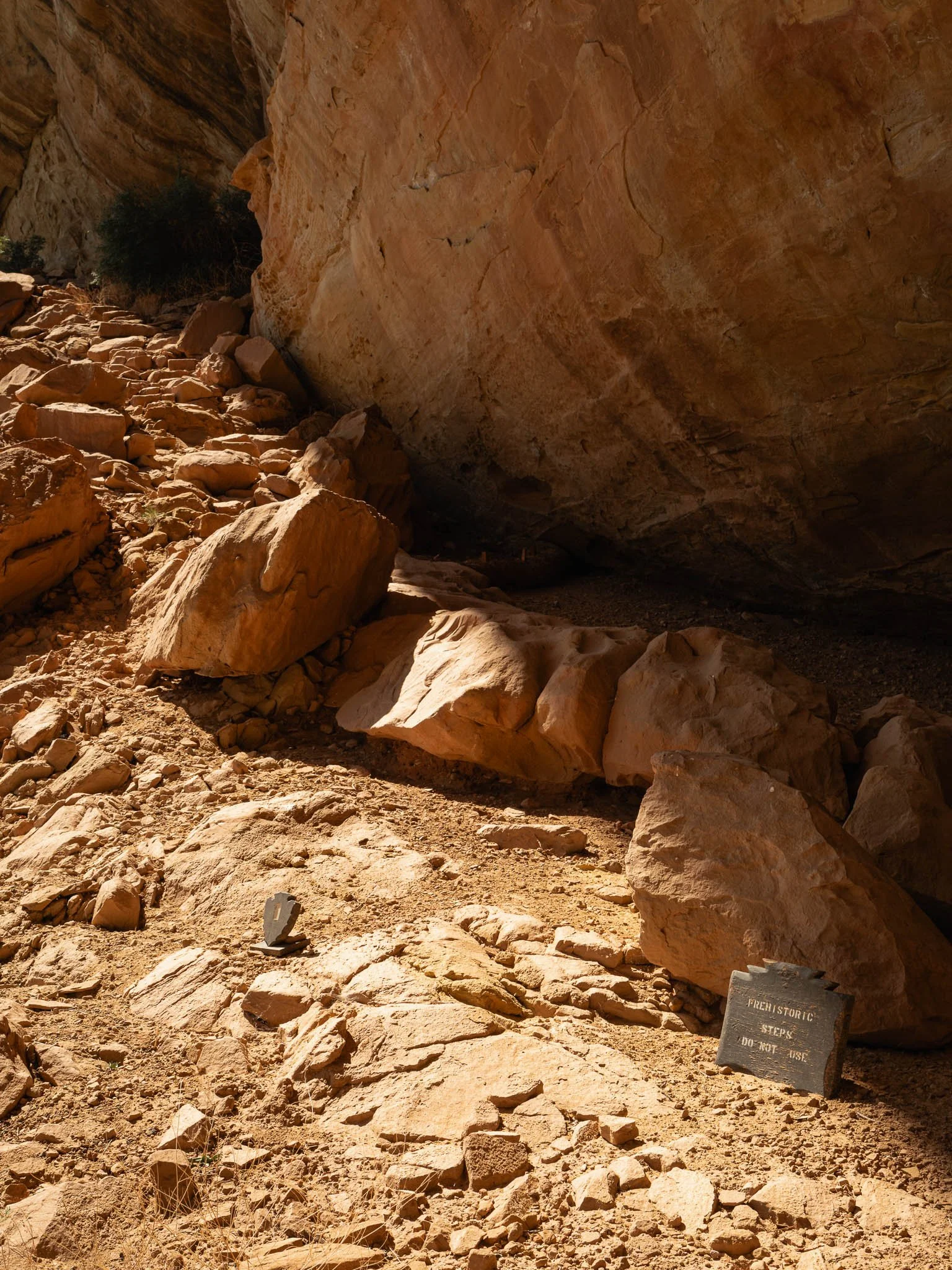 Summer Trip in Colorado - X-T5-1663.jpg