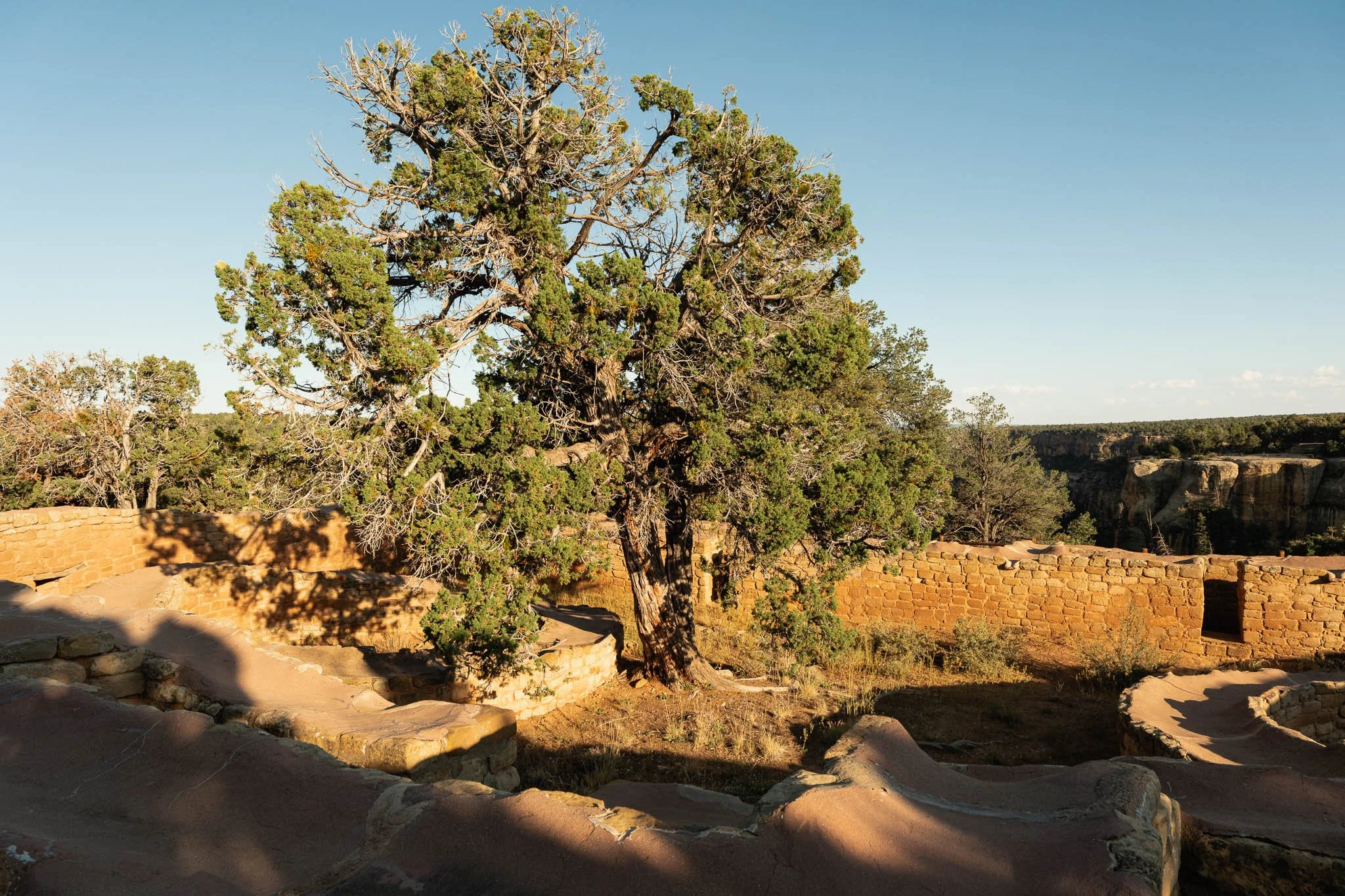 Summer Trip in Colorado - X-T5-1422.jpg