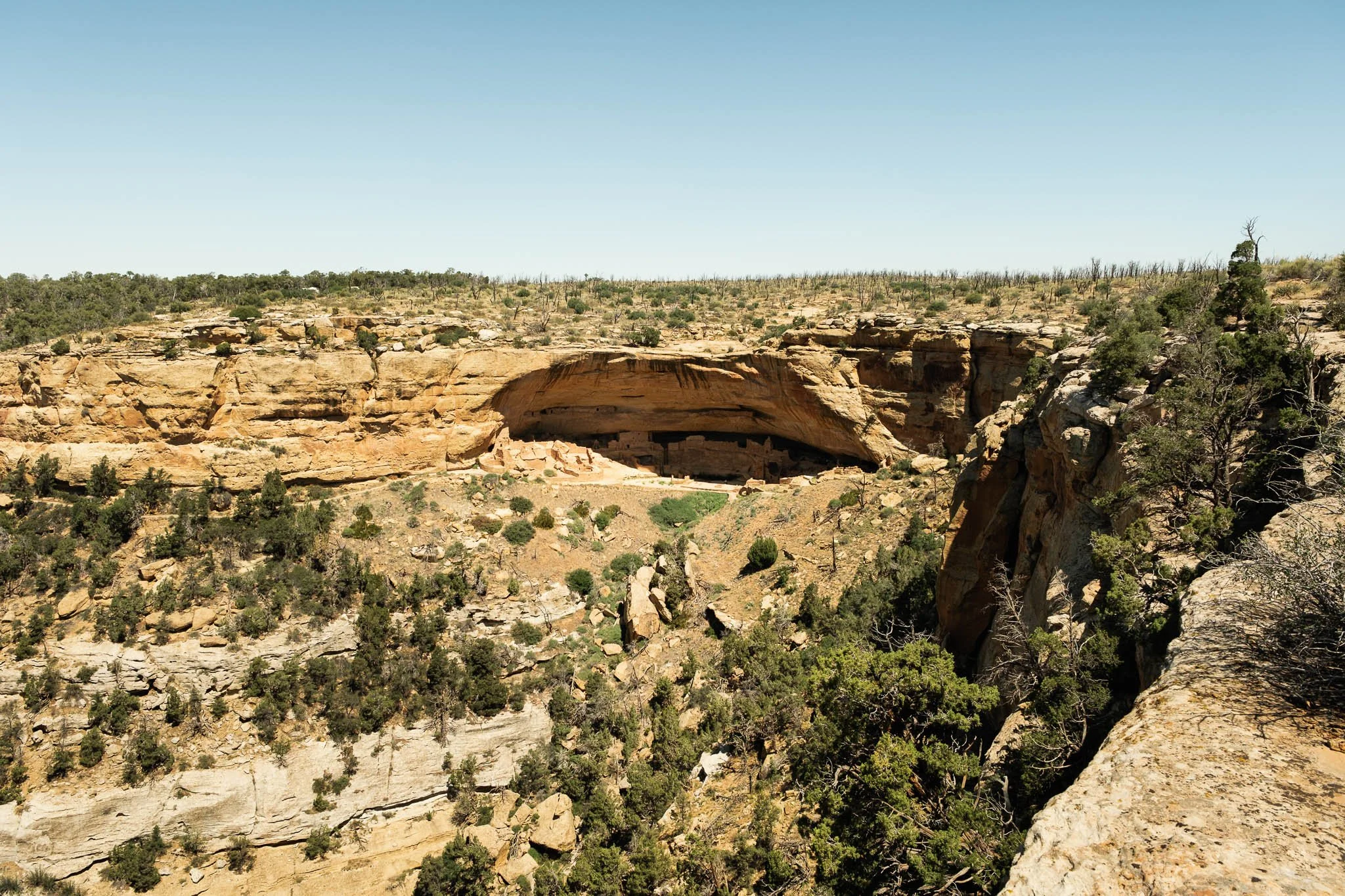 Summer Trip in Colorado - X-T5-1675.jpg