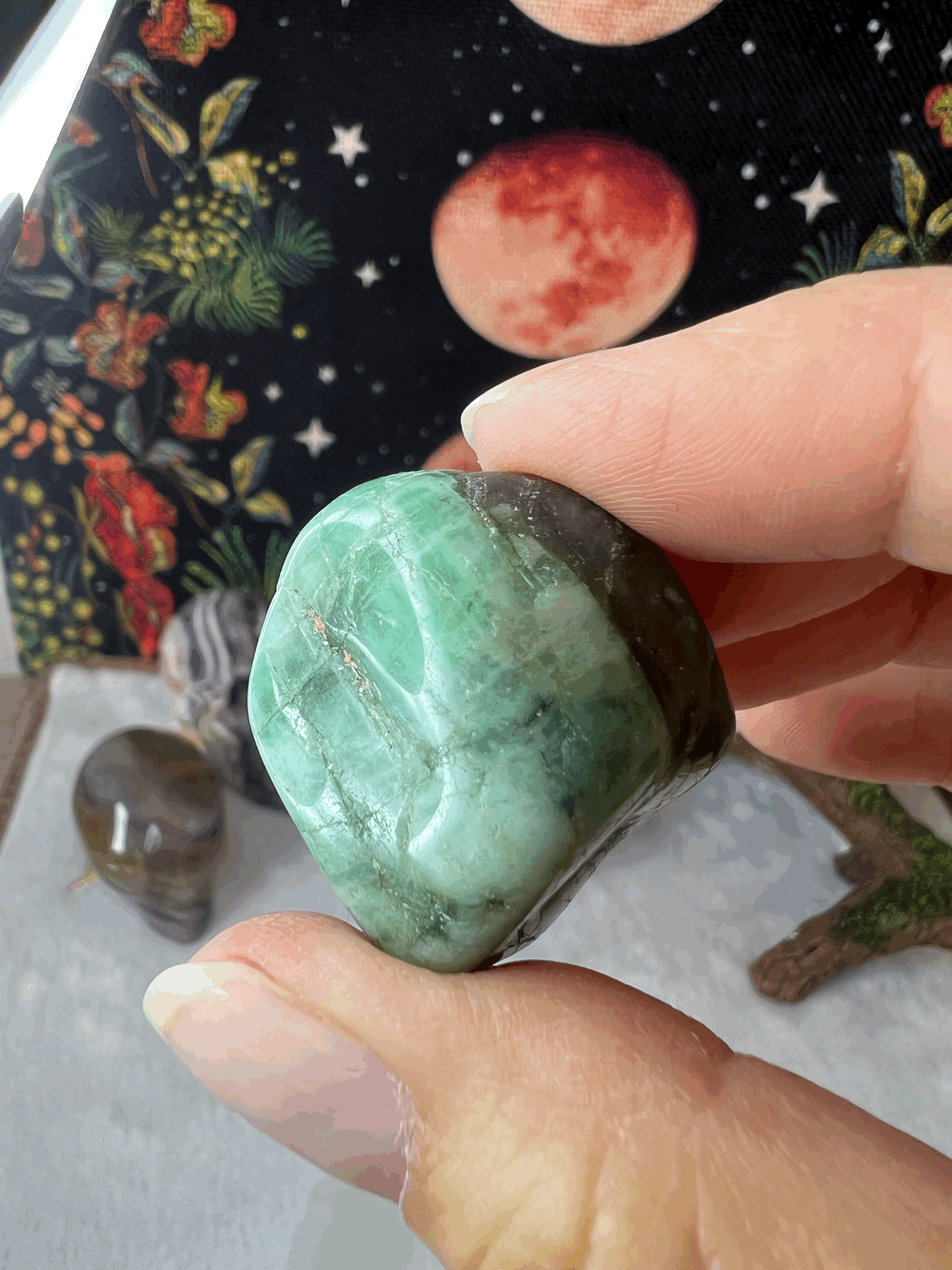 tempImageulco7L.gif