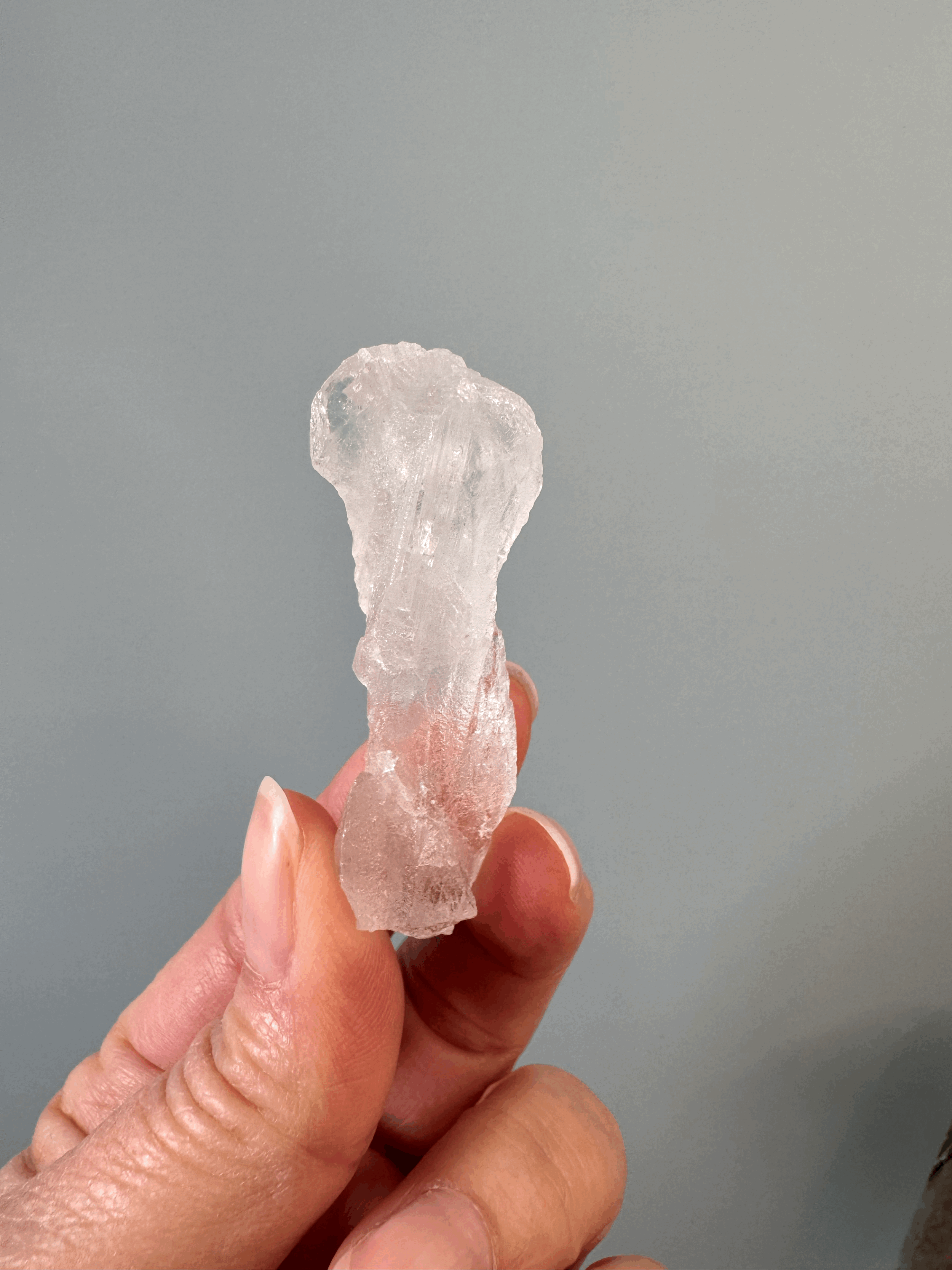 tempImagew2iC1N.gif