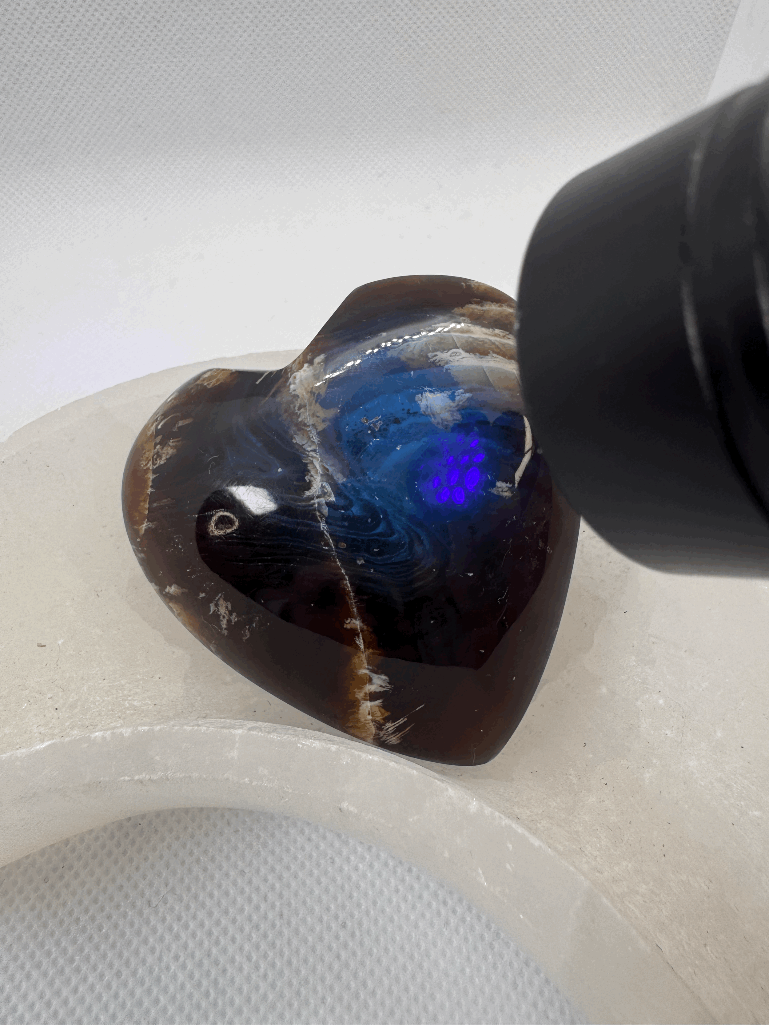 tempImageyAMPyL.gif