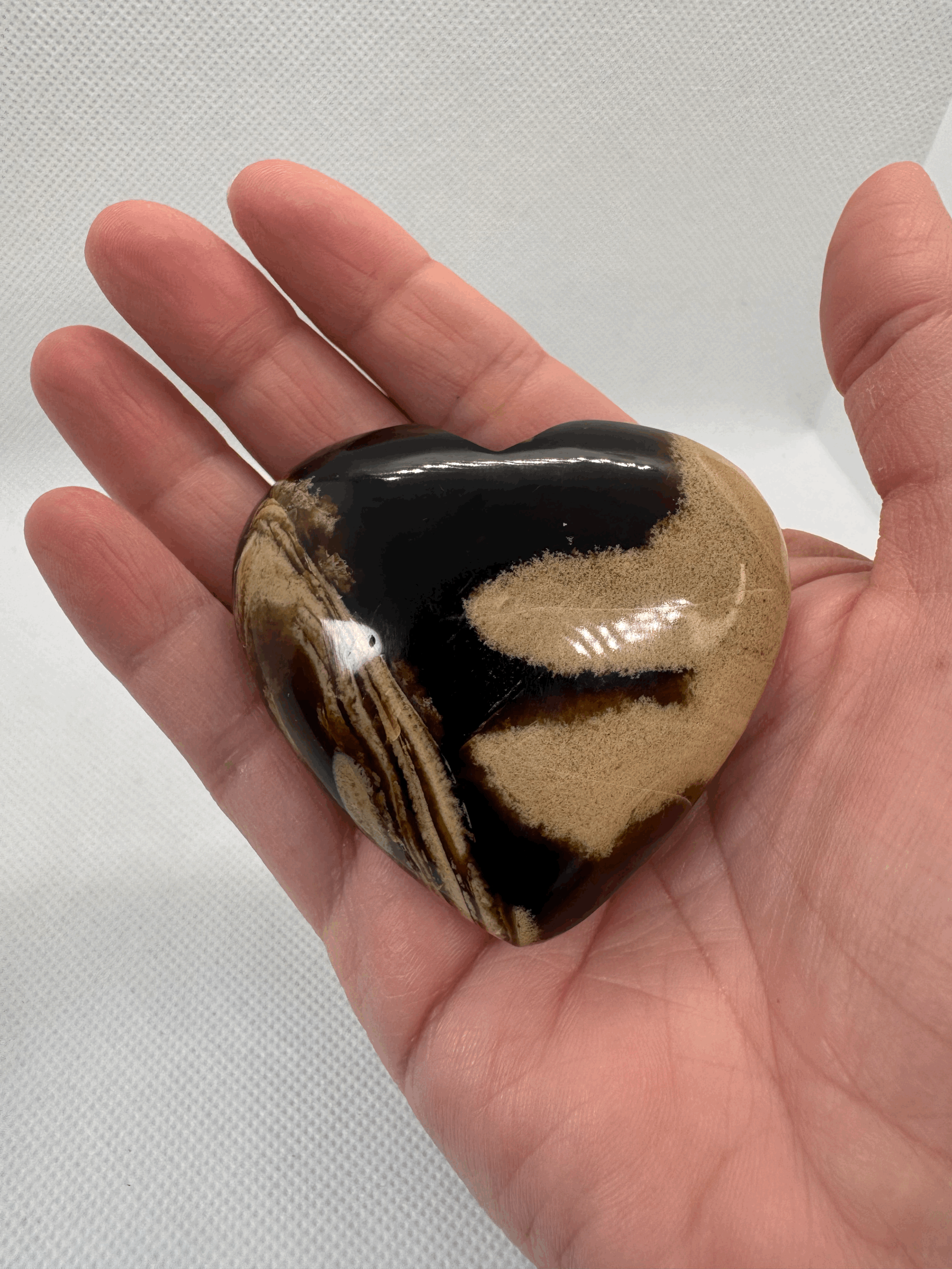 tempImagebBedb2.gif
