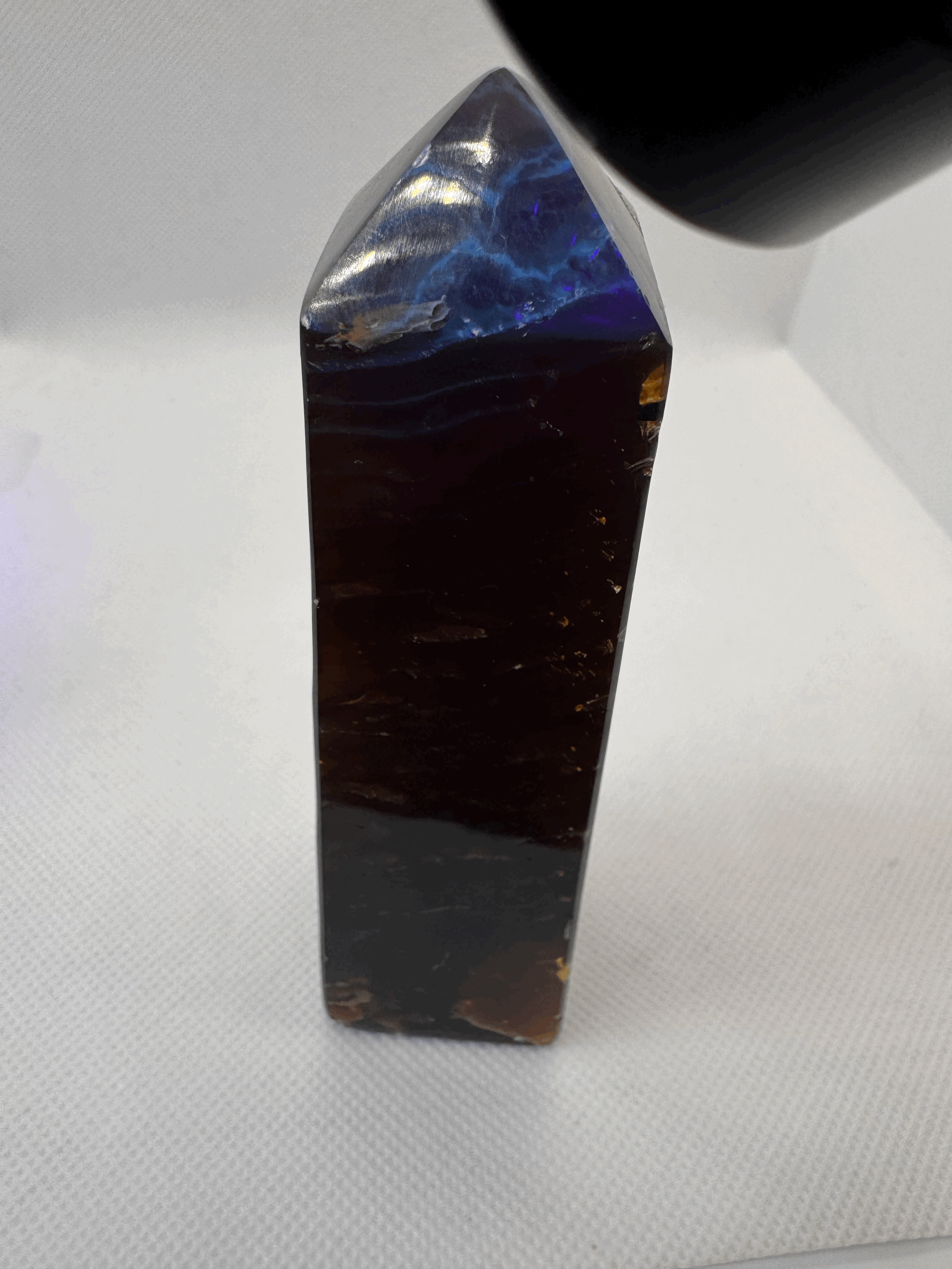 tempImageTRf1Nm.gif