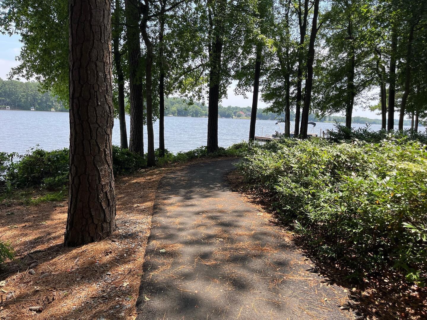 One of my favorite places to run! #running #runners