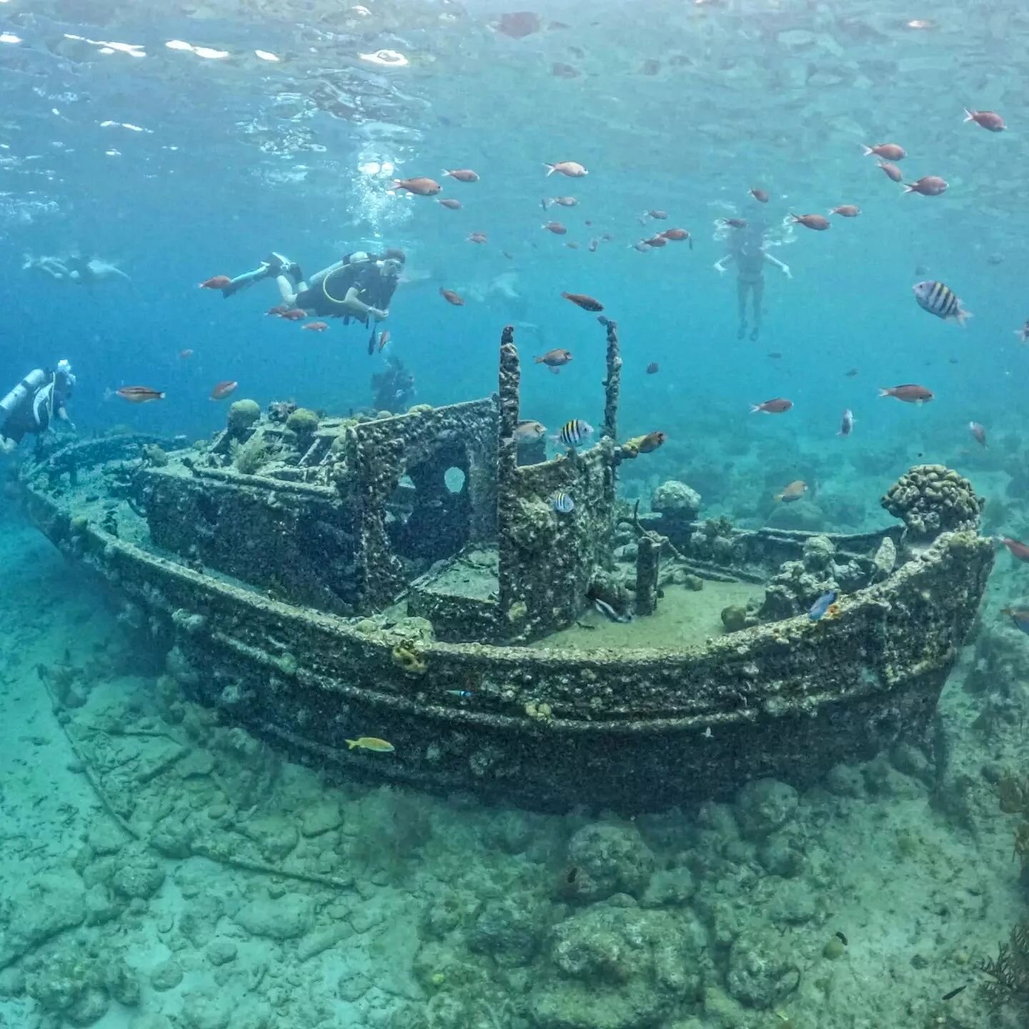 This tugboat ain't doing much tuggin' no more...

#tugboatbeach #tugboat #shipwreck #CuracaoTB #curacao_island #goprohero10. #polarprodome @polarpro @gopro
