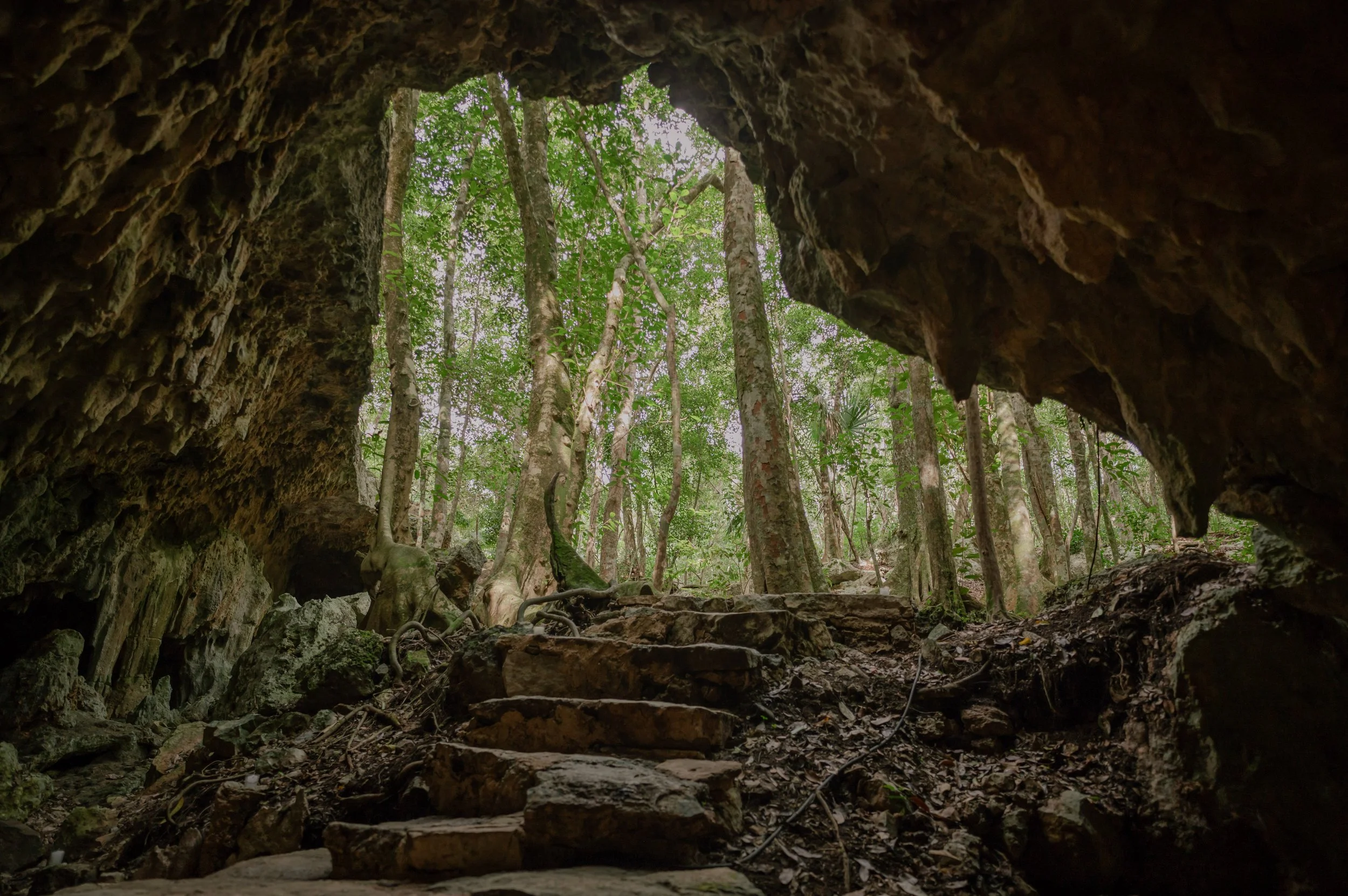 Copy of Copy of _DSC3387.jpg