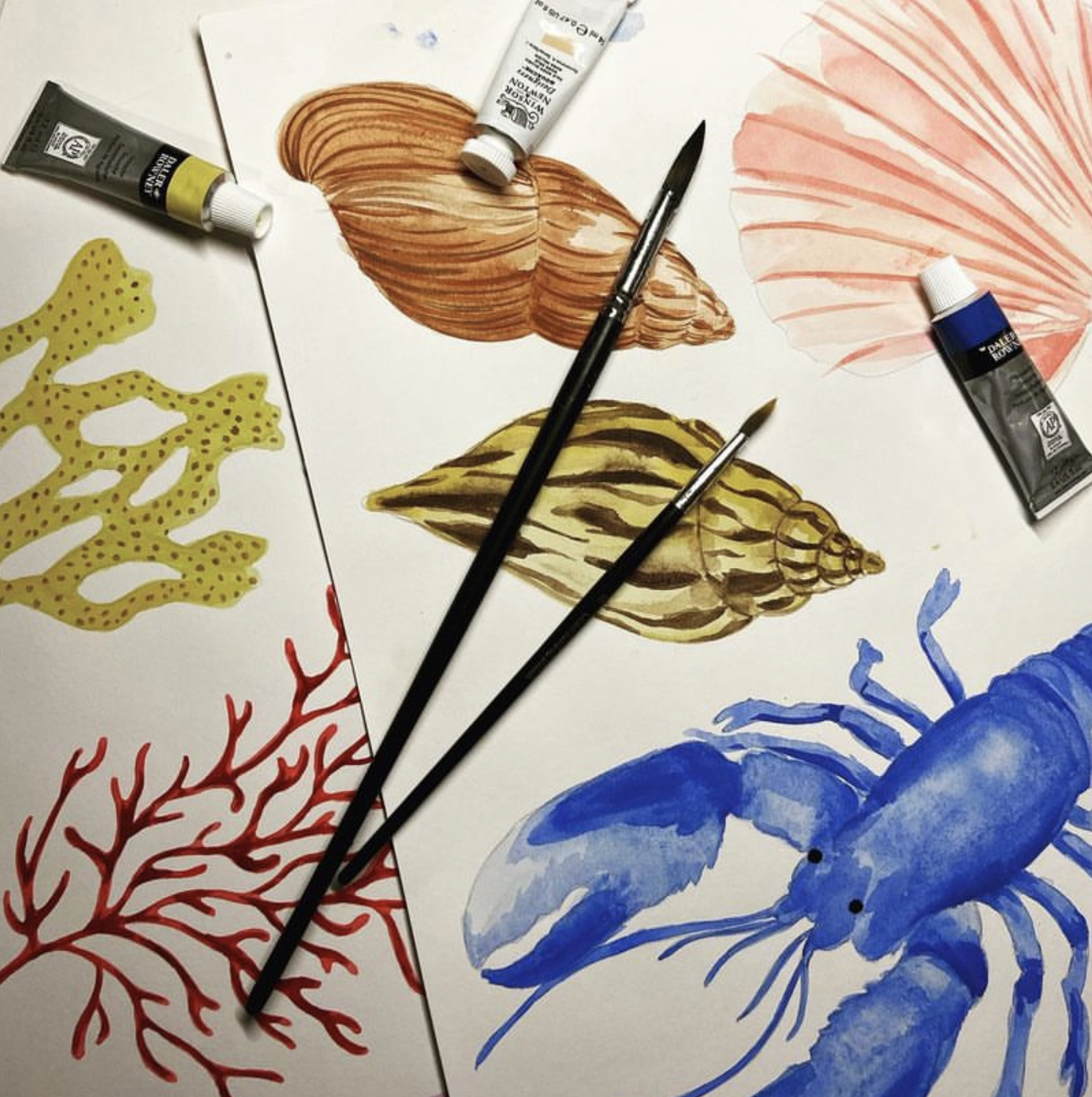 Water Colour Sealife