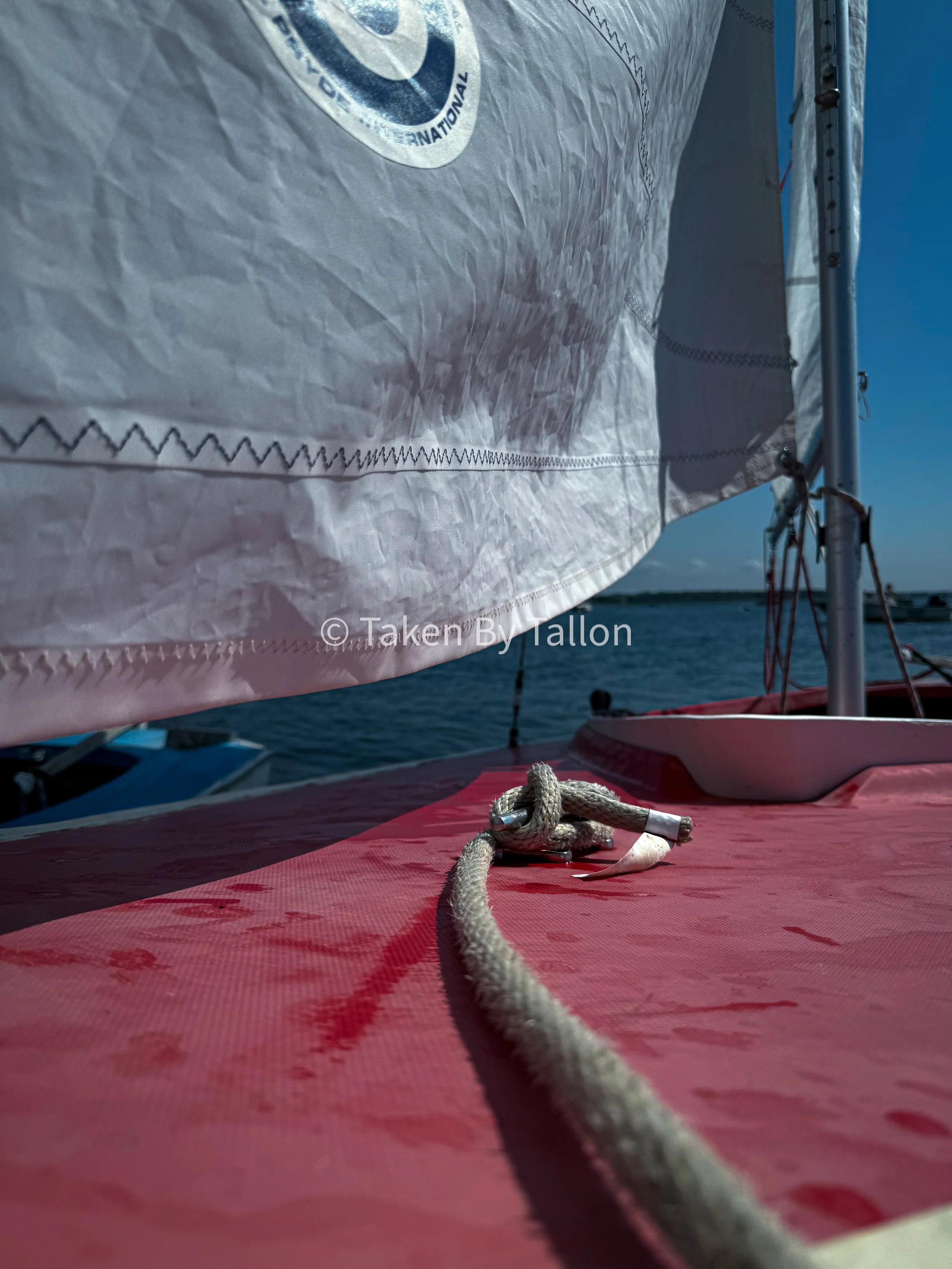 Nauti Knot.jpg