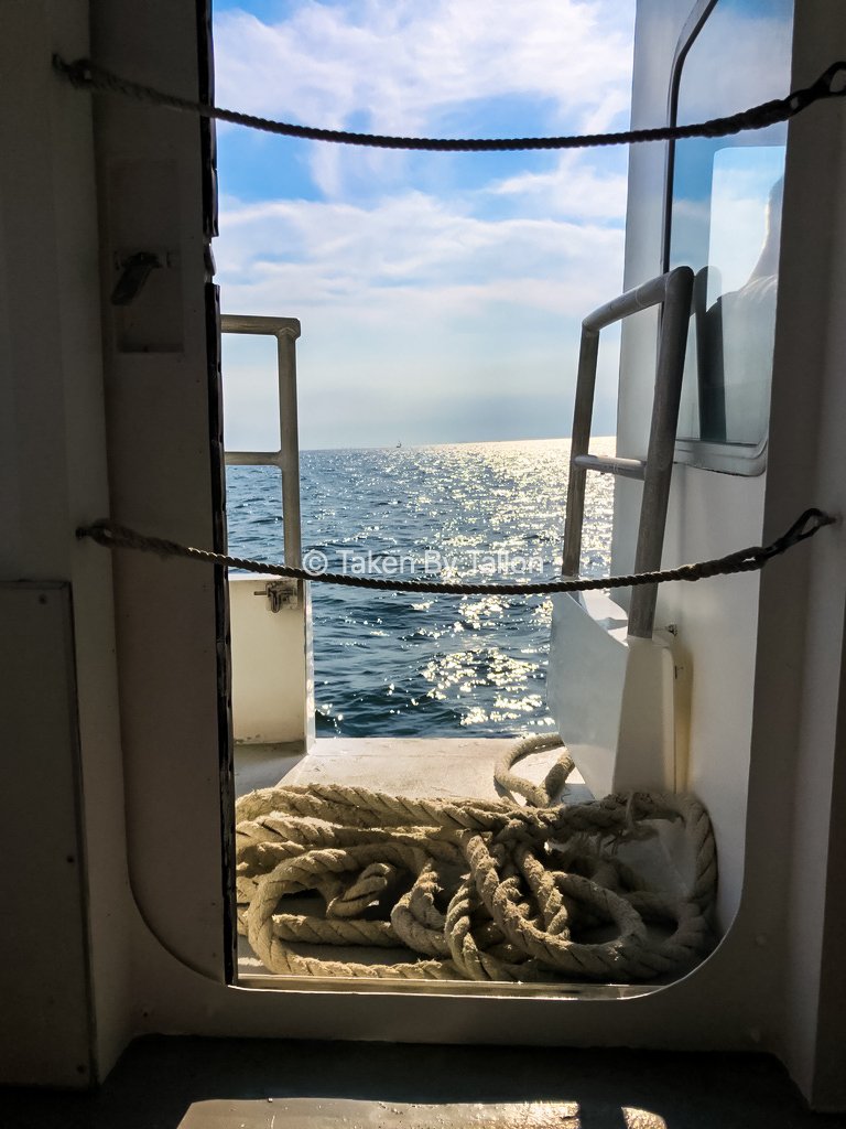 C Ferry to Wonderland.jpg