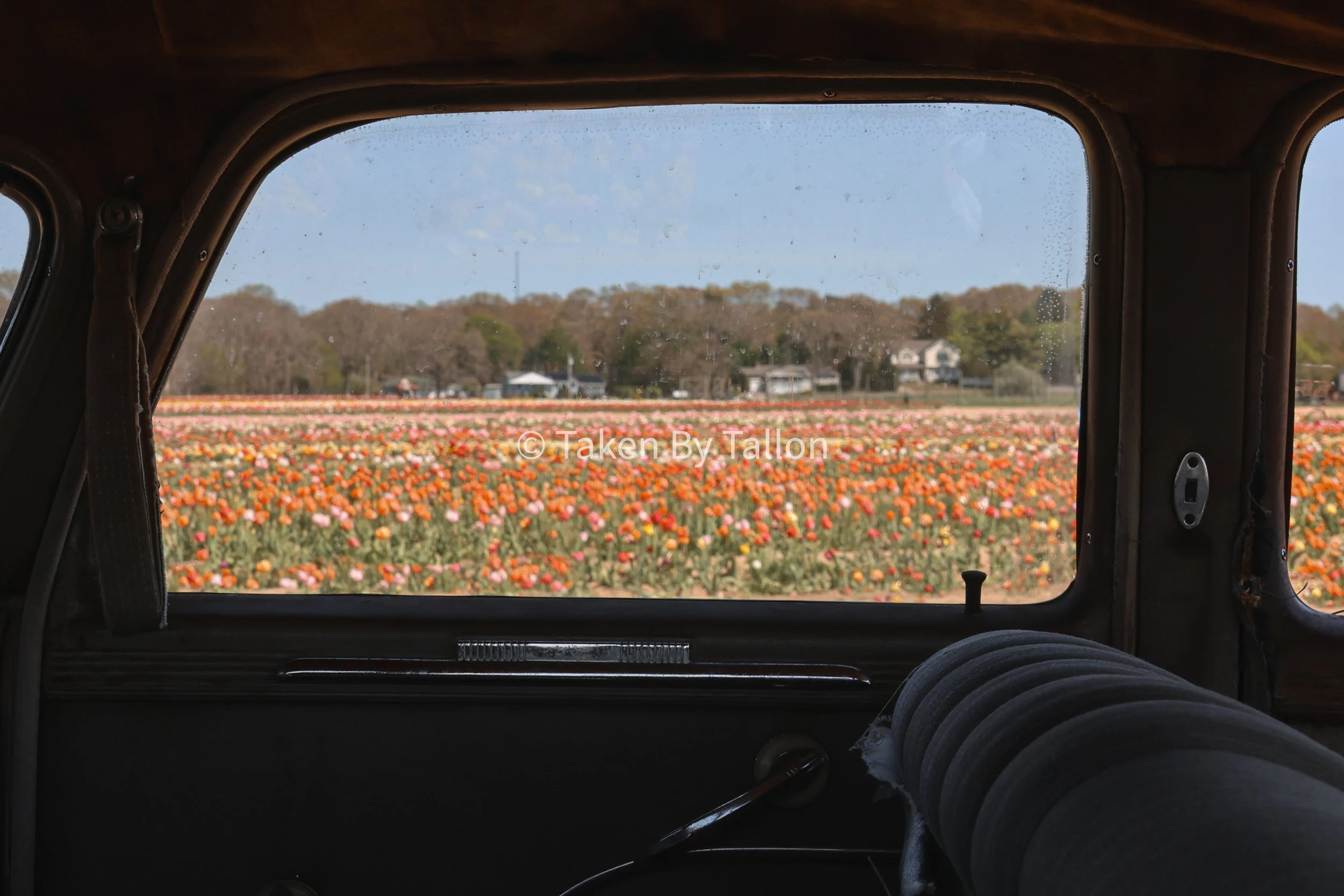 Roadside view.jpg