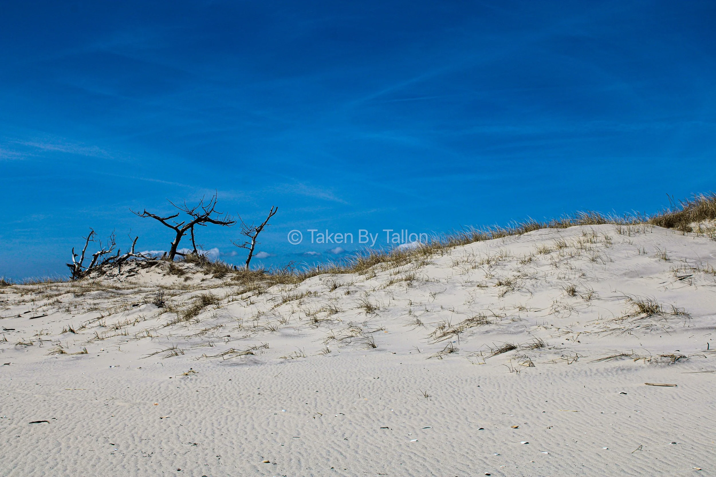 069 Smith's Point - NY