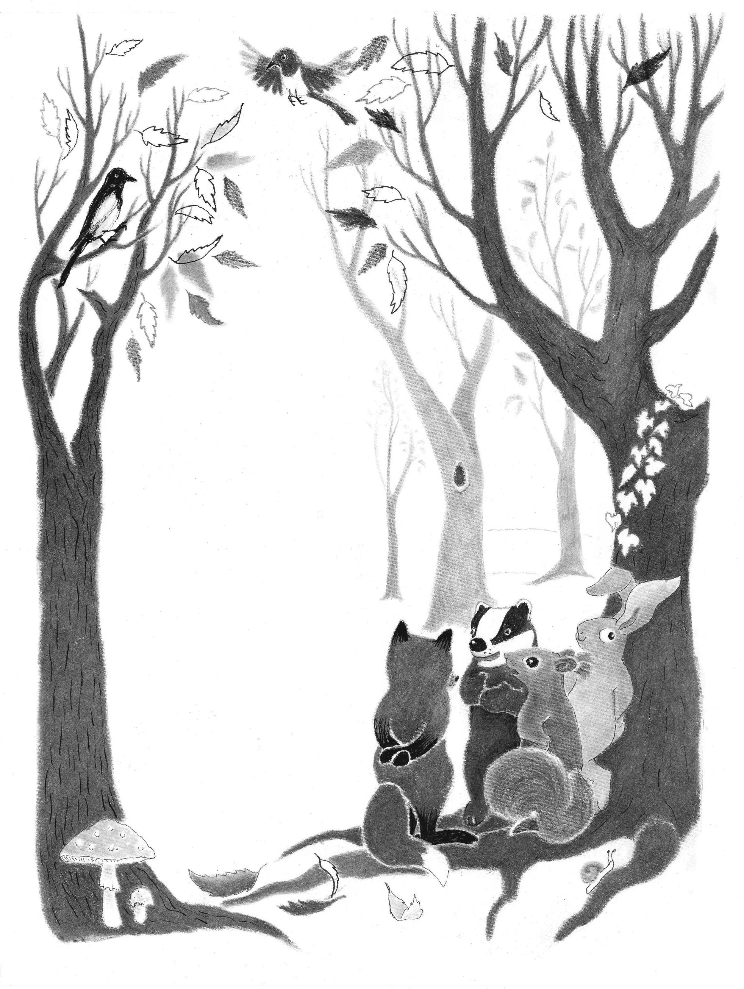 Illustration of forest animals