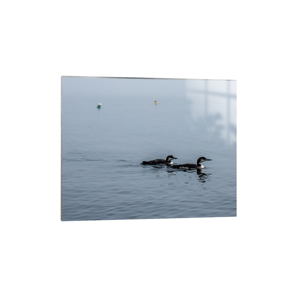 metalprint_rectangle4_5_35_0_1098_879_0_false_ffffff_0_0.png