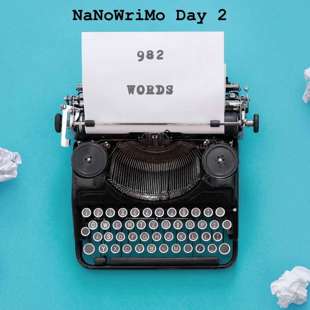 NaNoWriMo Day 2