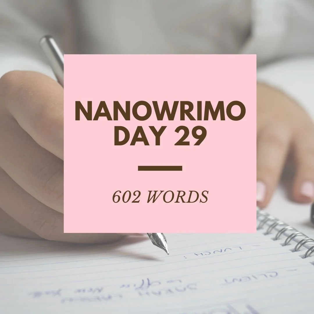 NaNoWriMo Day 29