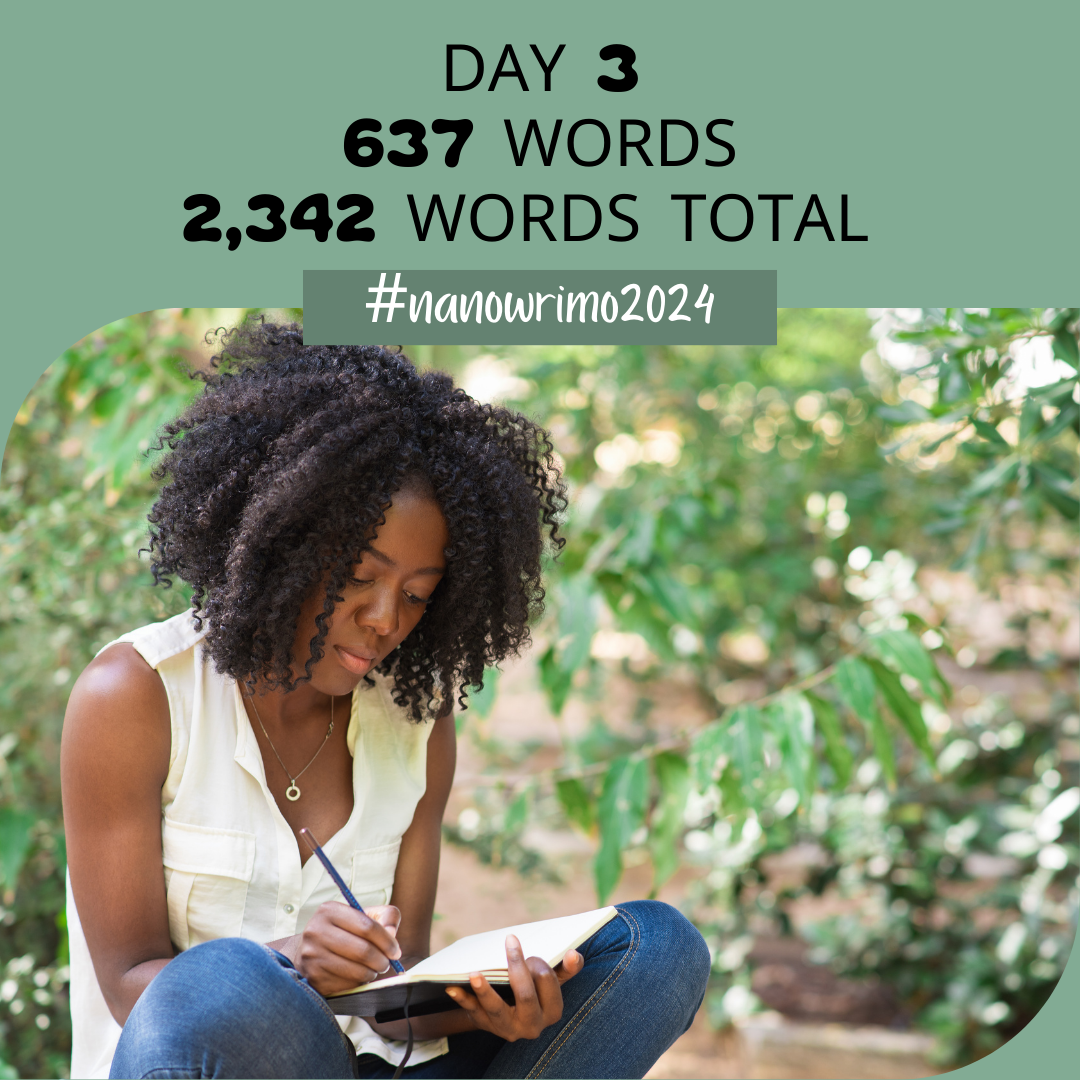 NaNoWriMo Day 3