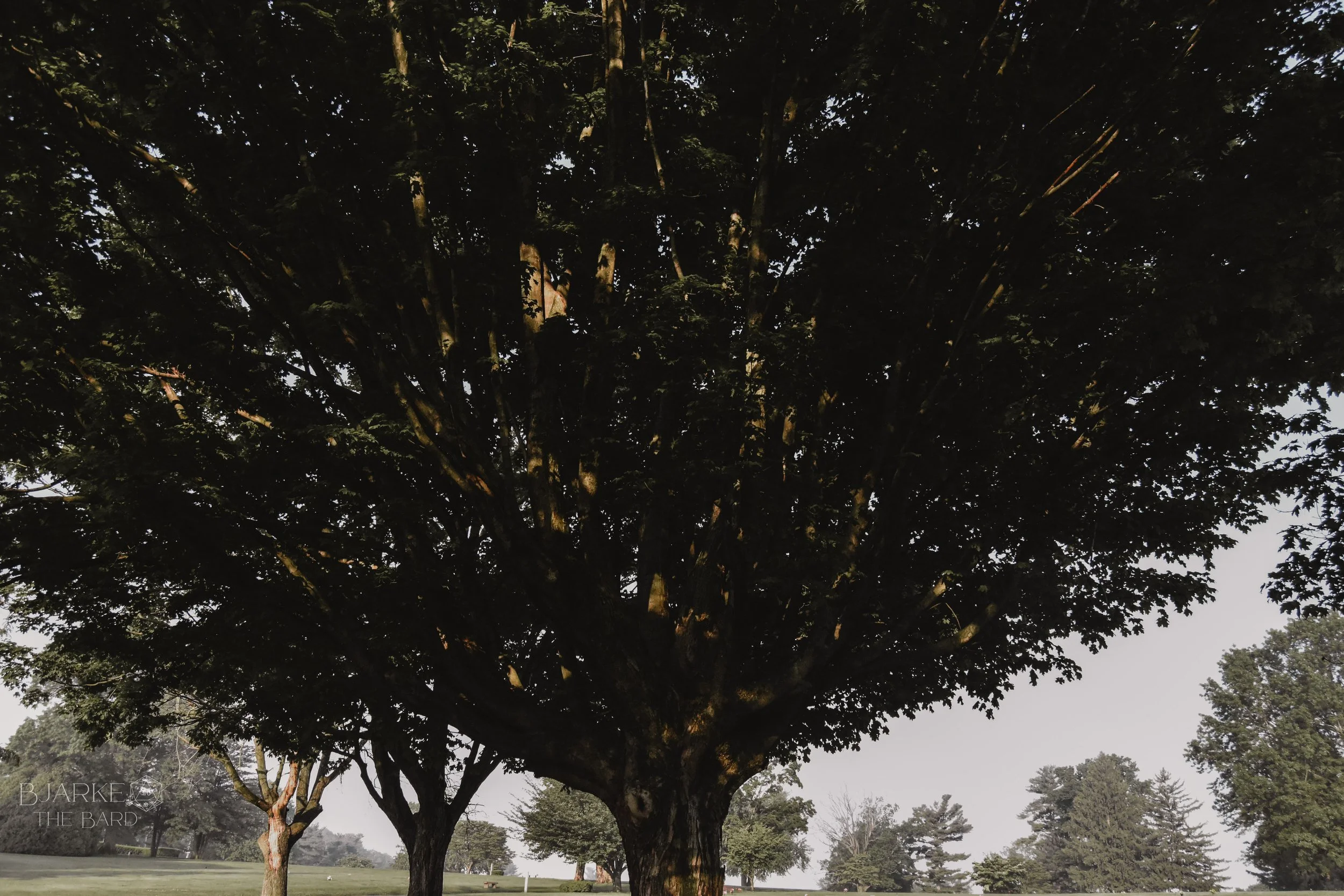 Capers, Crimes, and Heists - Adding Cinematic Excitement