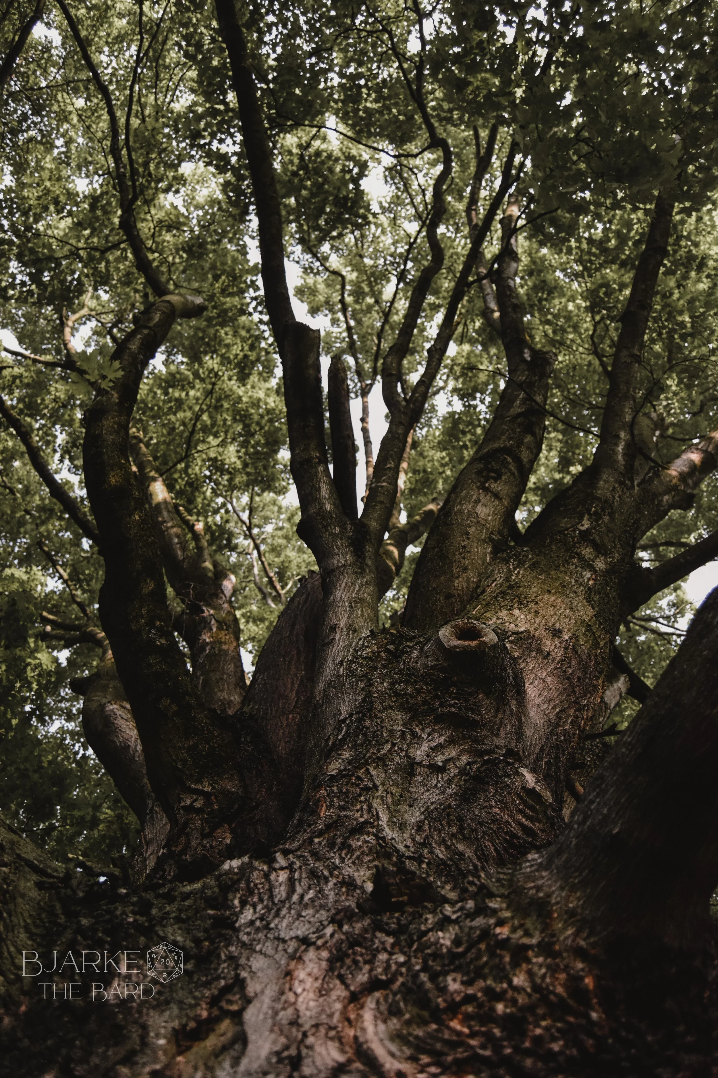 Letting Failure Play A Part