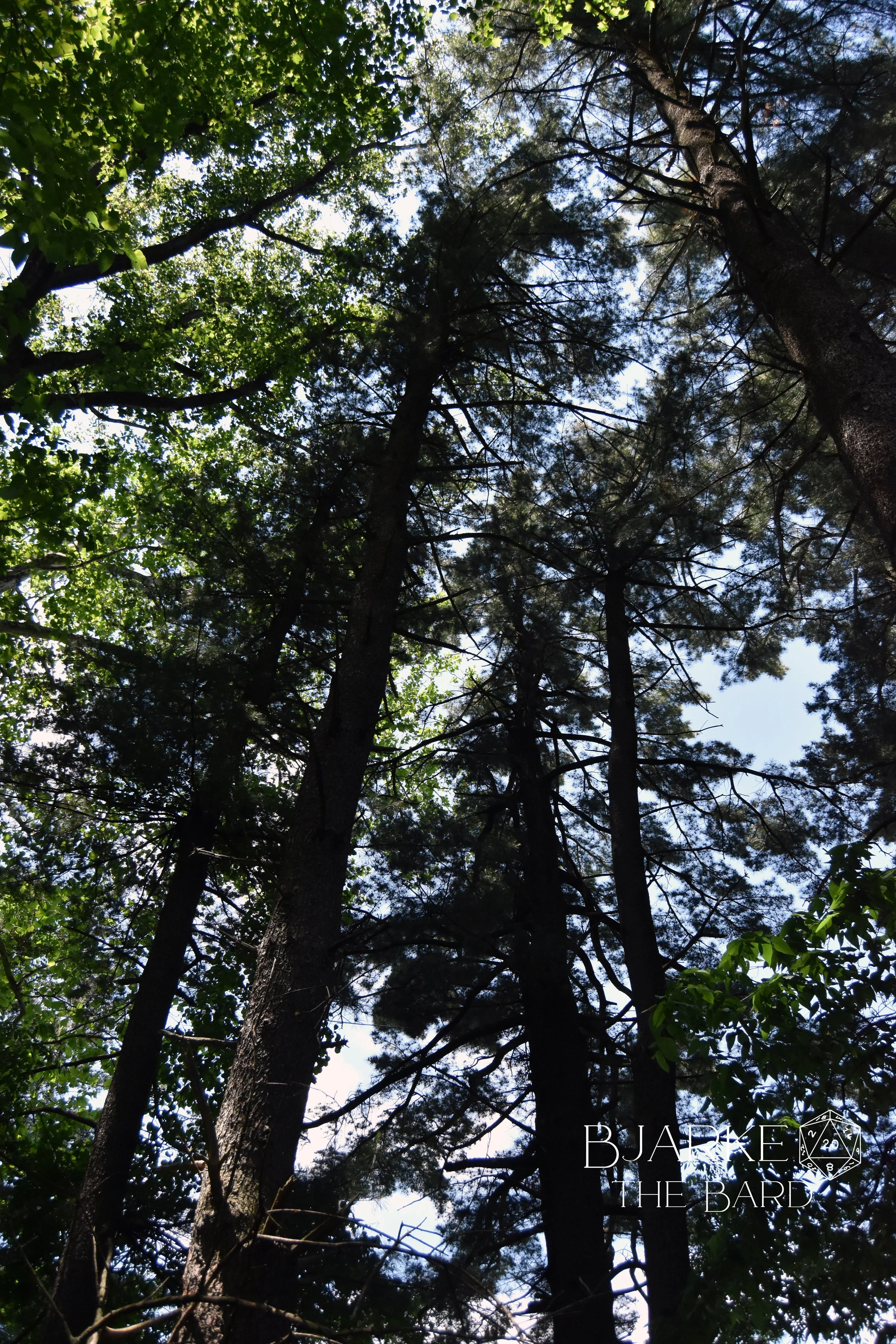 Learn From Your Elders - How Older Editions can Improve your Game