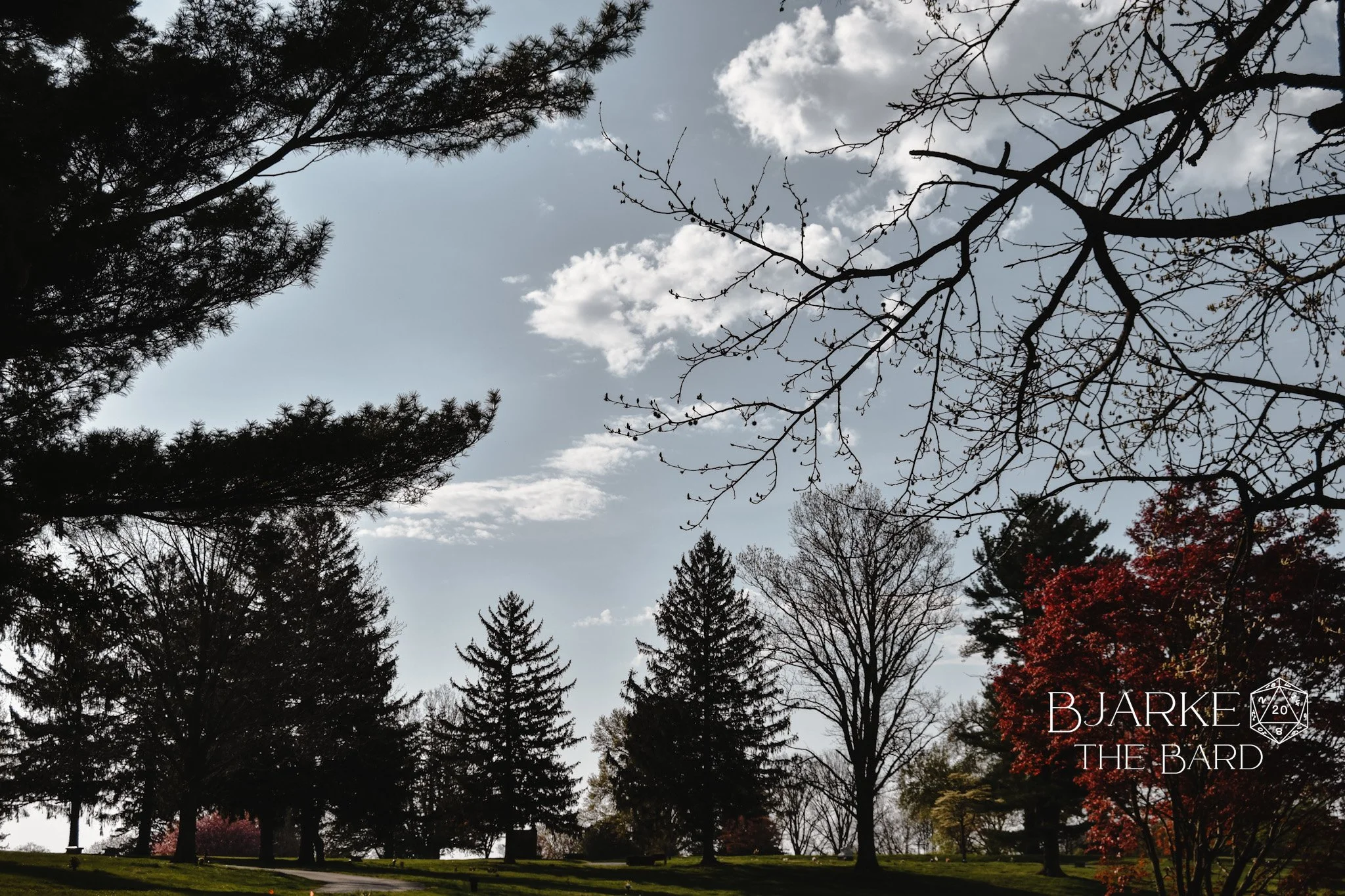 The Other Side of the Screen