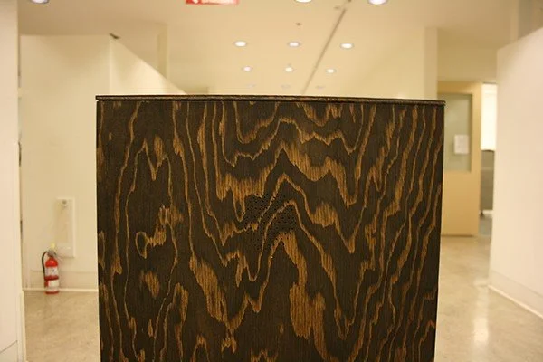 Wooden panel with dark and light grain patterns in a hallway with white walls and ceiling lights.