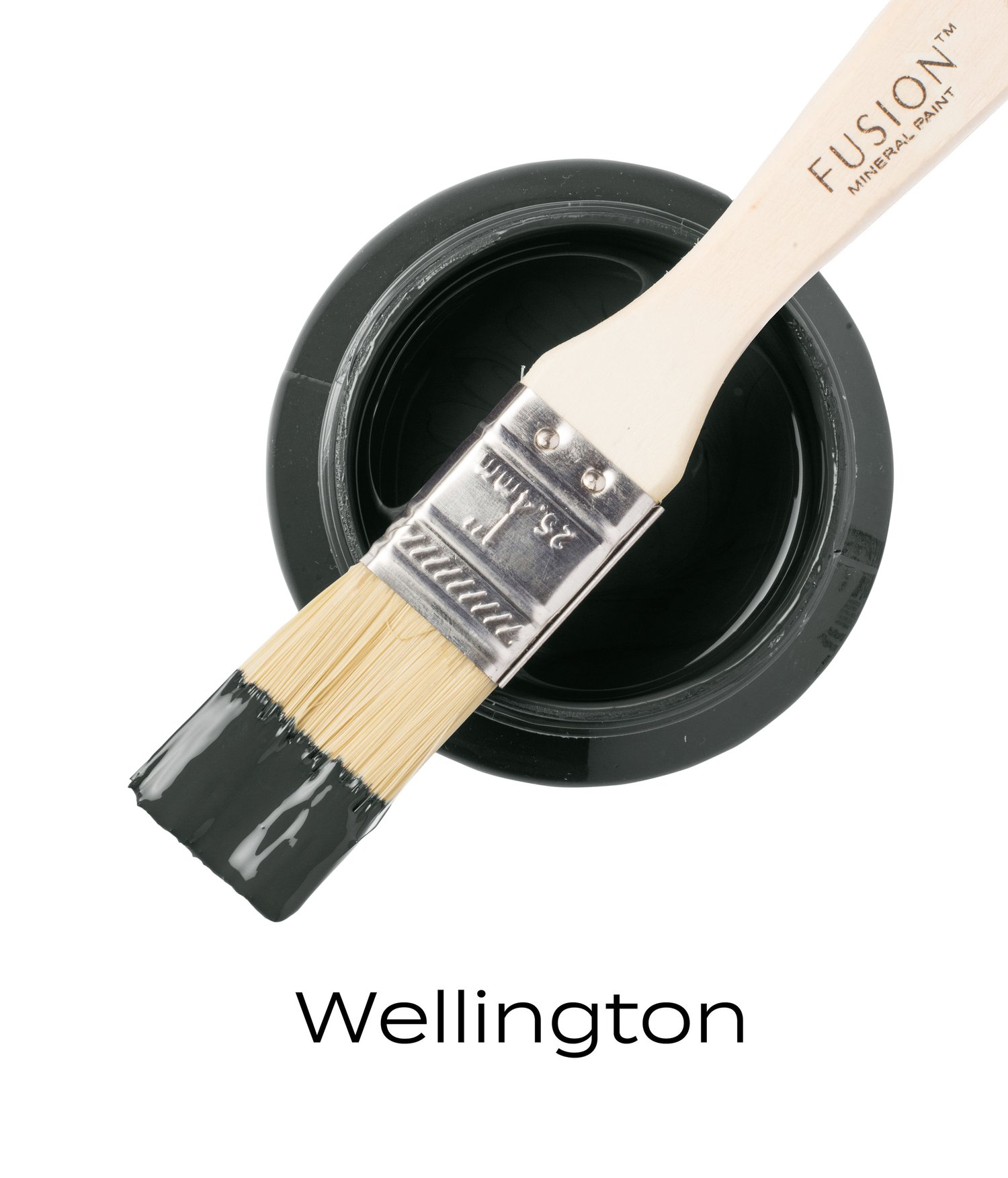 Champlain - Fusion Mineral Paint - All in one paint — Julie's Designs and  Signs