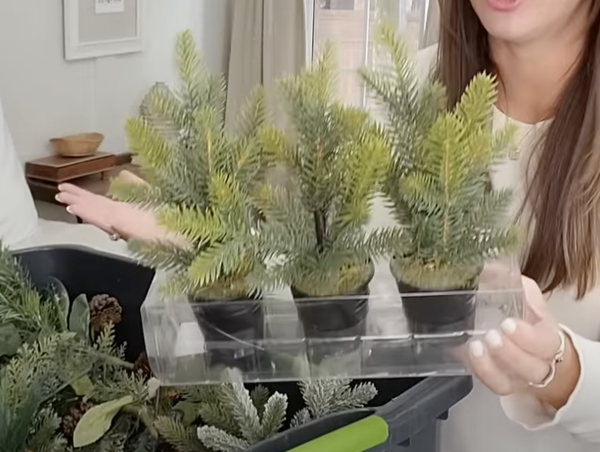 Christmas Greenery.png