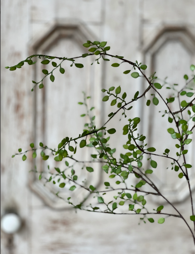 Screenshot 2026-02-04 171955.png