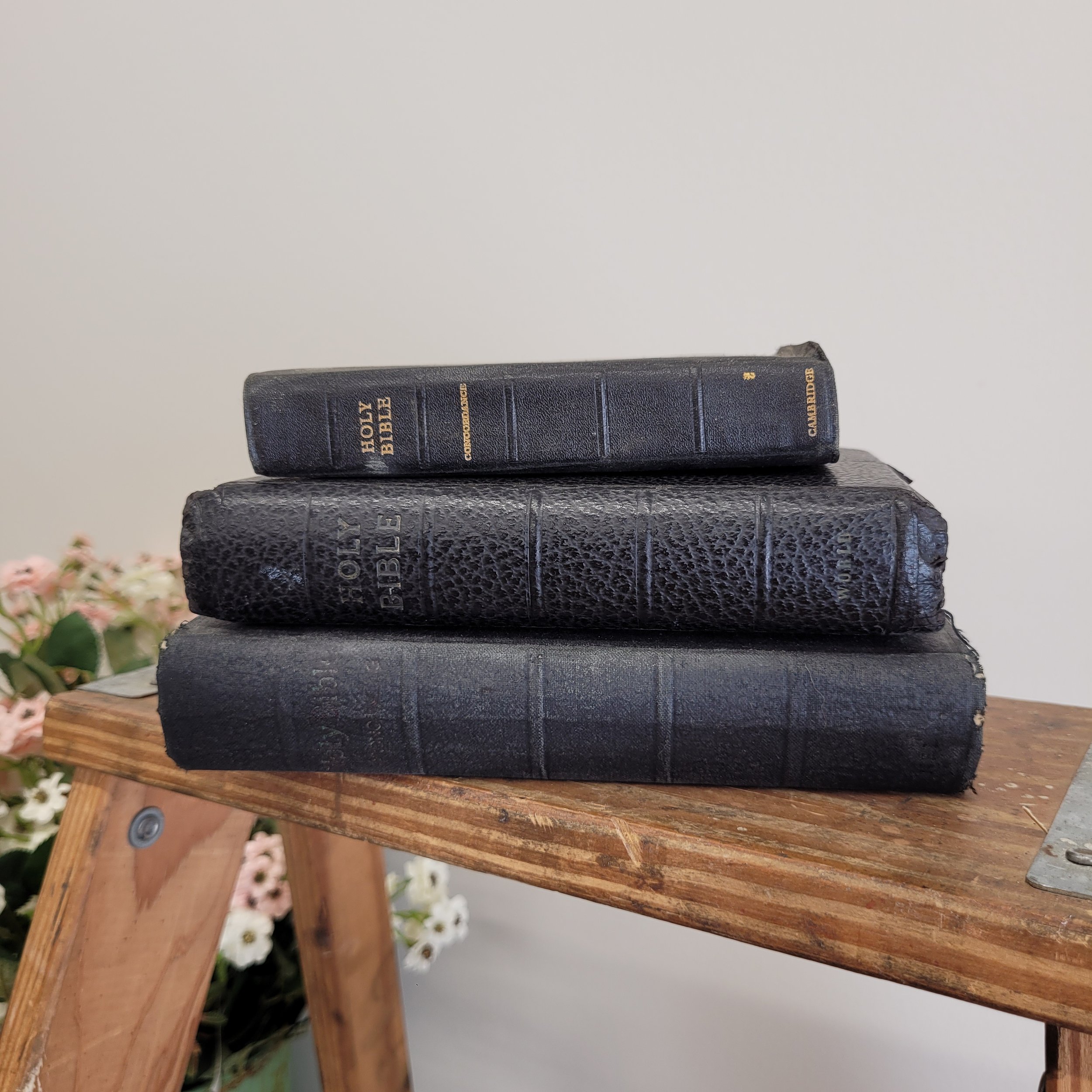 stack of 3 bibles