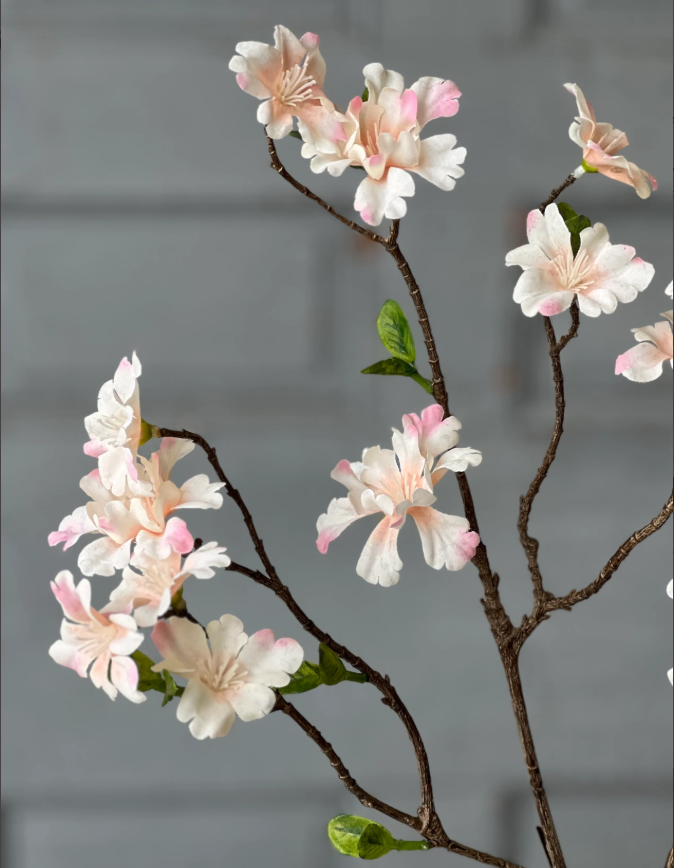 Screenshot 2026-02-04 181145.png