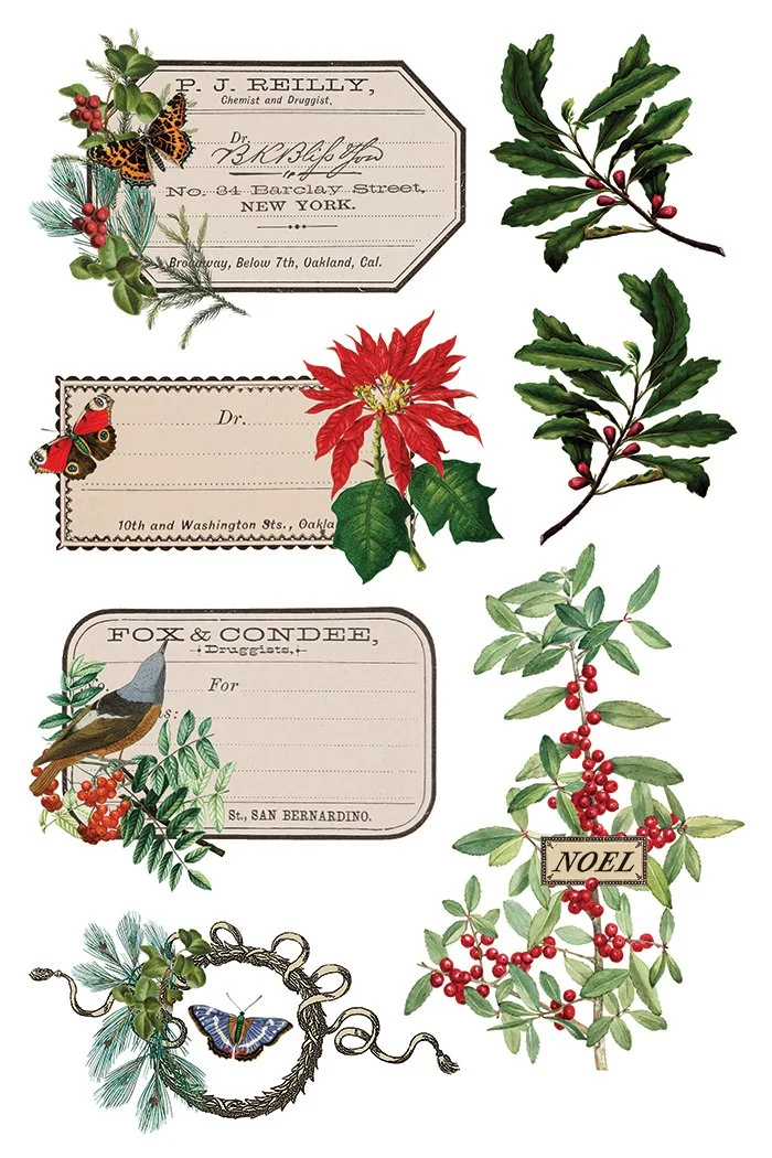 Copy of IOD-TRA-WBT Winter Botanist transfer artwork page 4 small.jpg