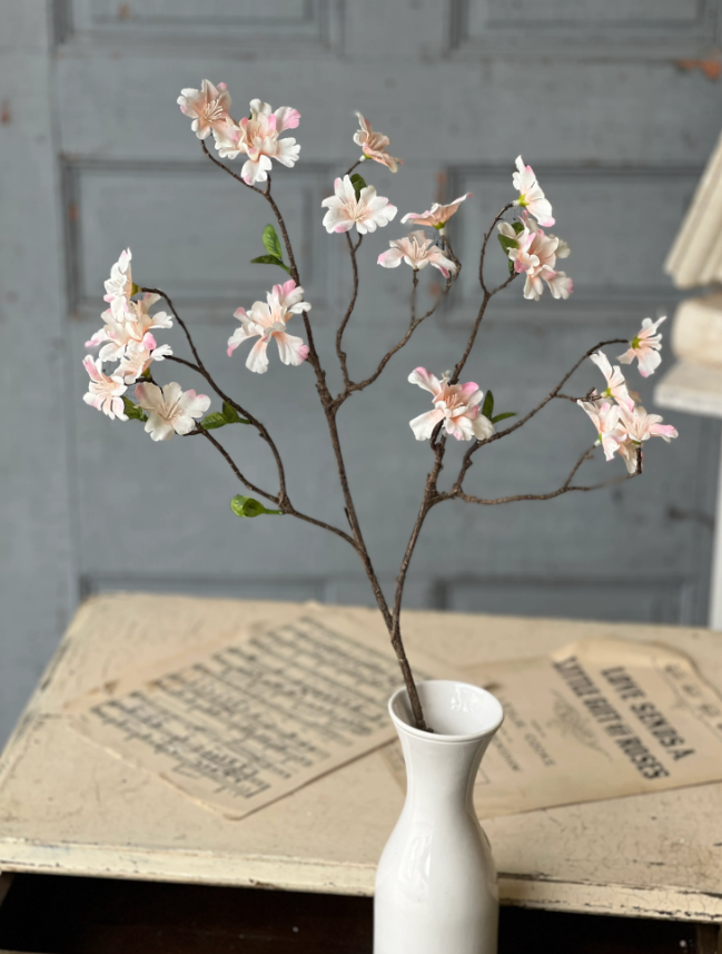 Screenshot 2026-02-04 181134.png