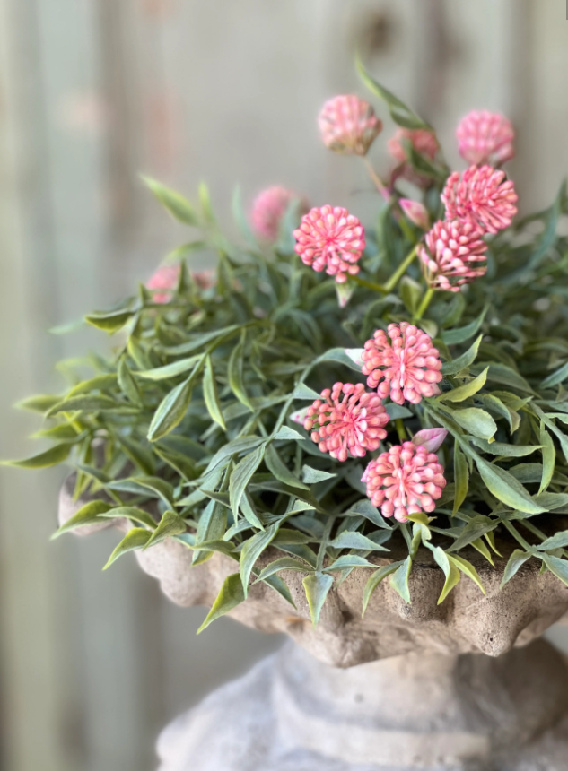 Screenshot 2026-02-04 174444.png